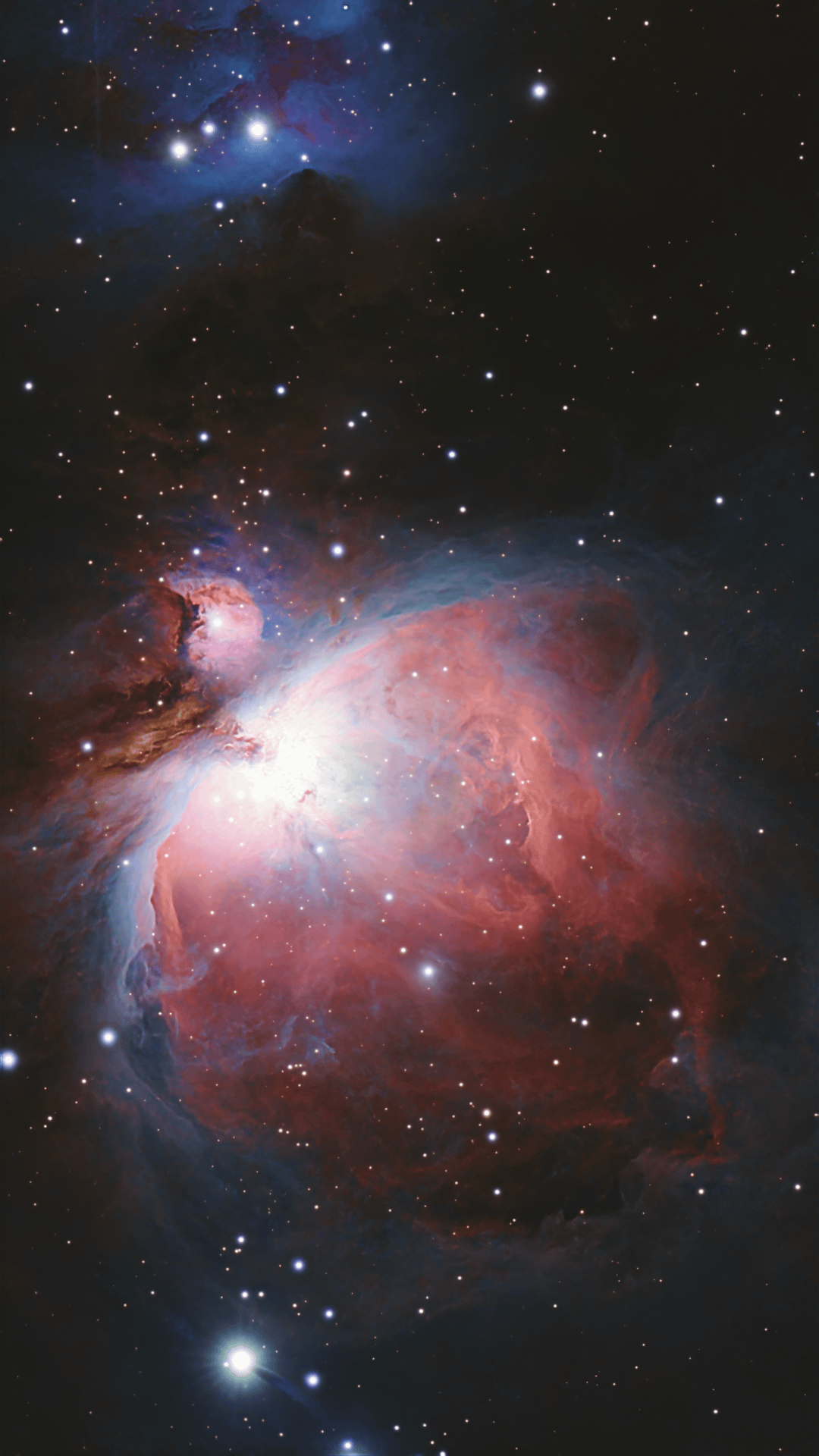 1080x1920 M42 The Great Orion Nebula