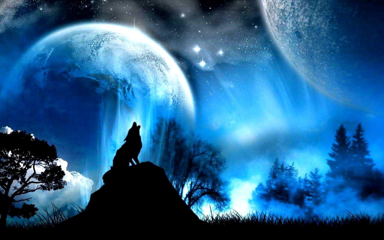 1280x800 Free download Blue Aura Wolf Computer Wallpaper Desktop