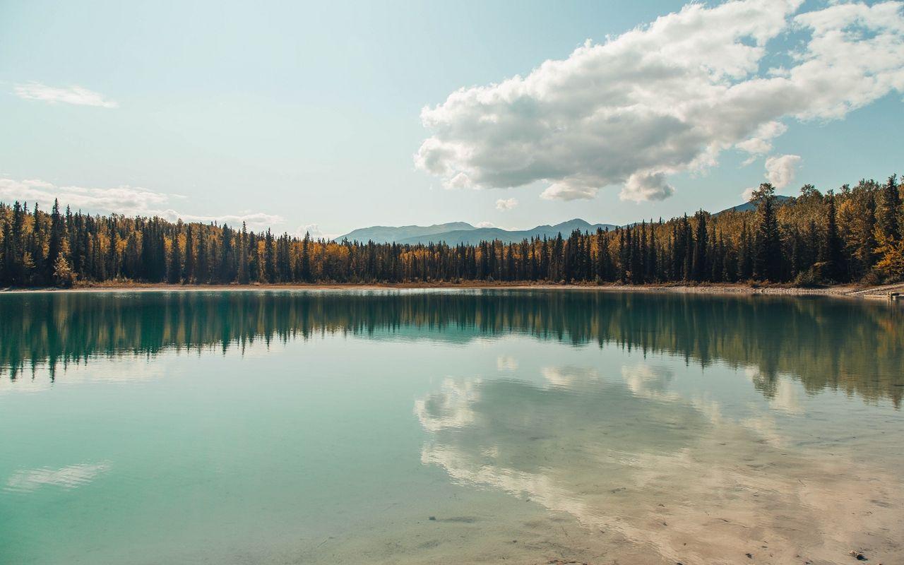 1280x800 Download wallpaper 1280x800 lake, shore, trees, clouds, reflection