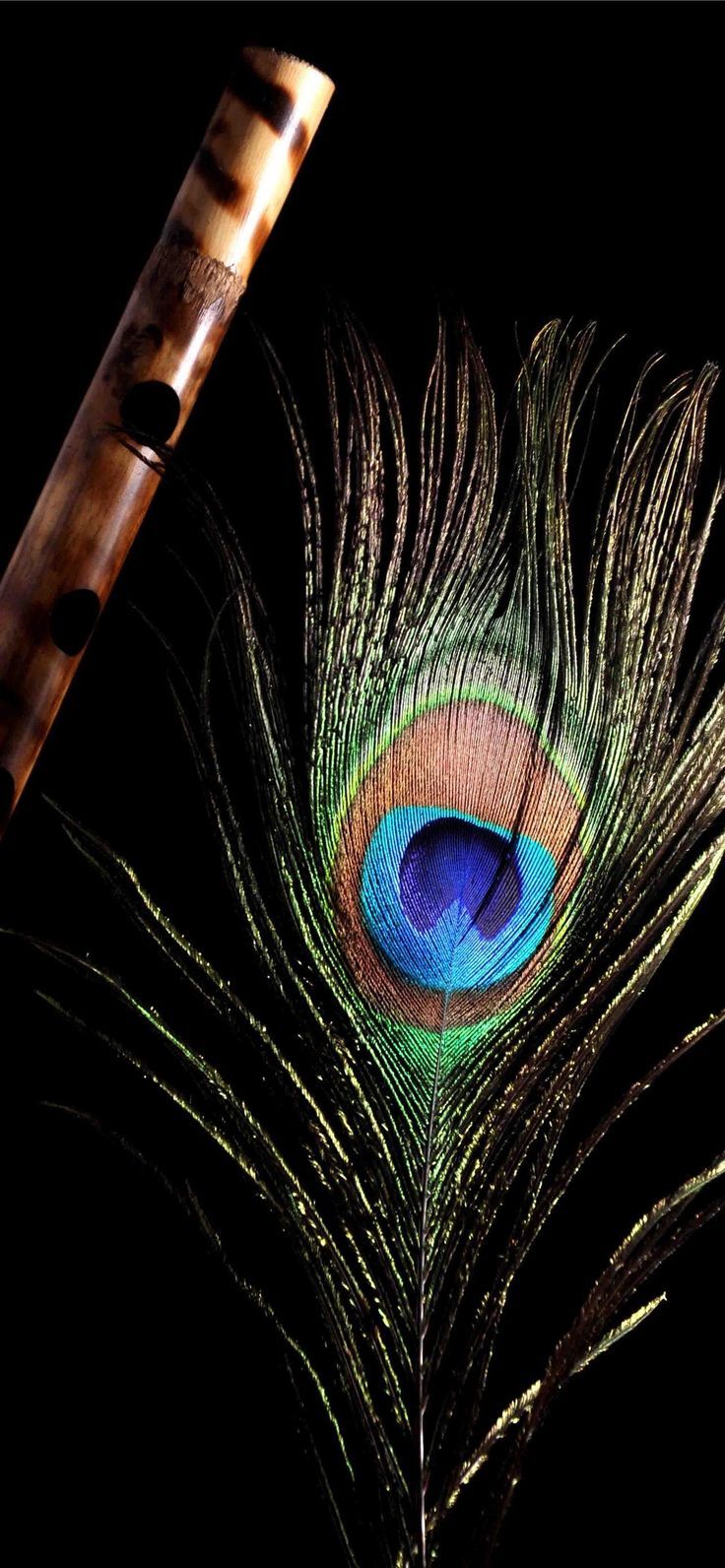 736x1592 Krishna Flute Cave iPhone Wallpaper