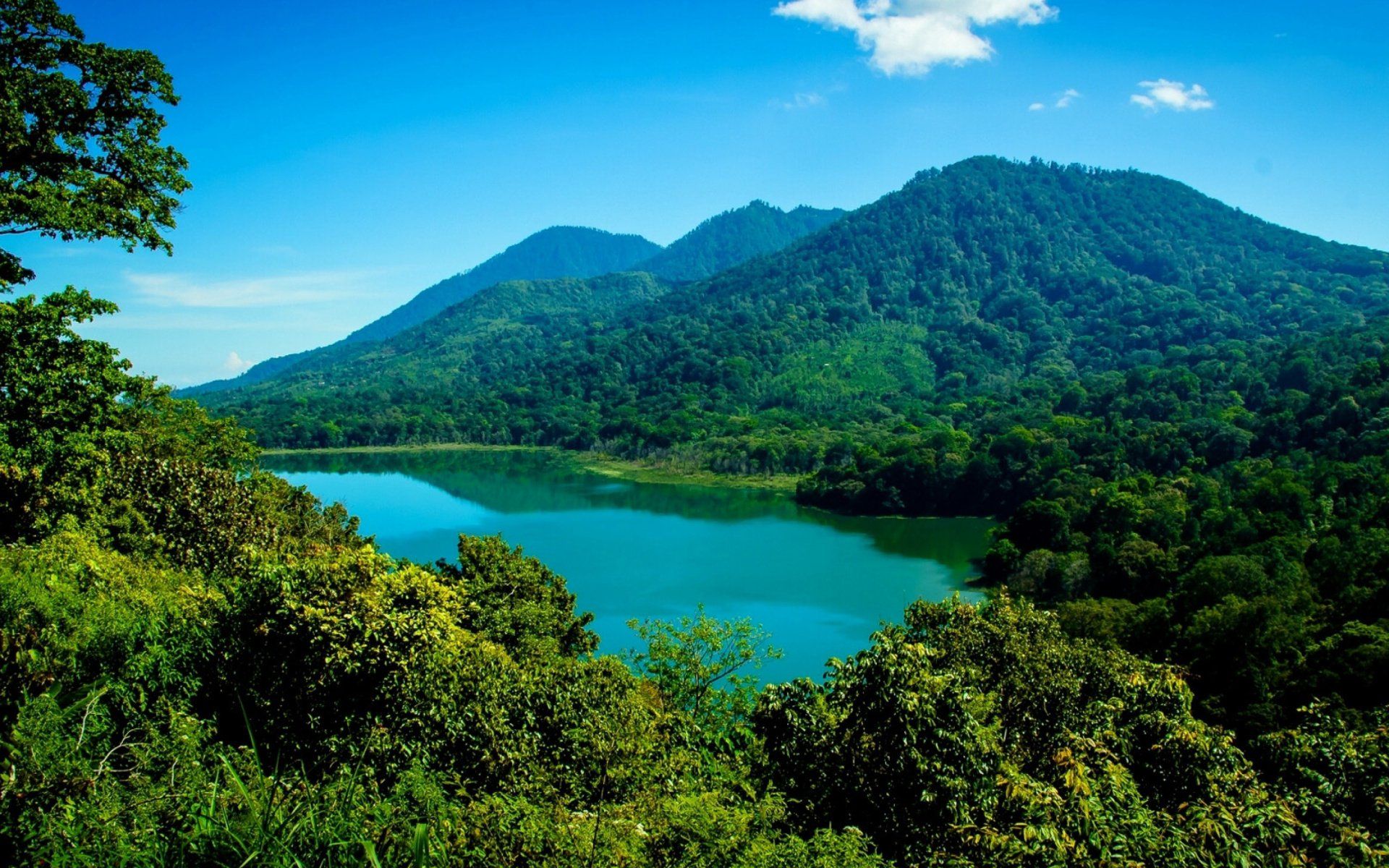 1920x1200 Mount Agung Bali Forest HD Wallpaper
