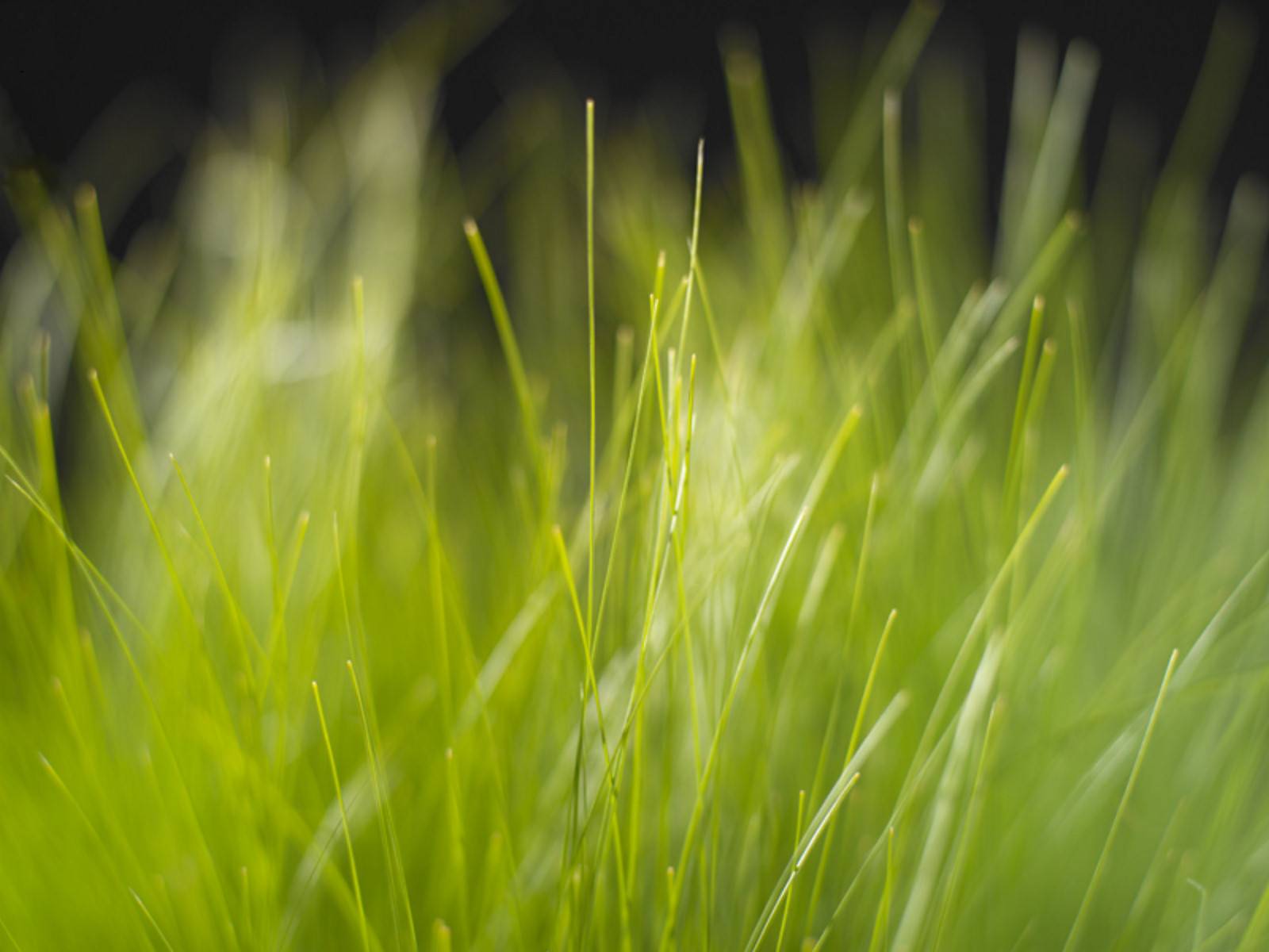 1600x1200 Windows Vista Wallpaper Windows Vista Modern 100% Quality HD