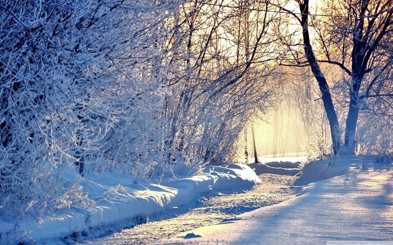 1280x800 Winter Morning Light Ultra HD Desktop Background Wallpaper for 4K
