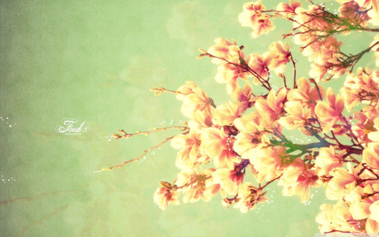 1280x800 Spring Picture 02148