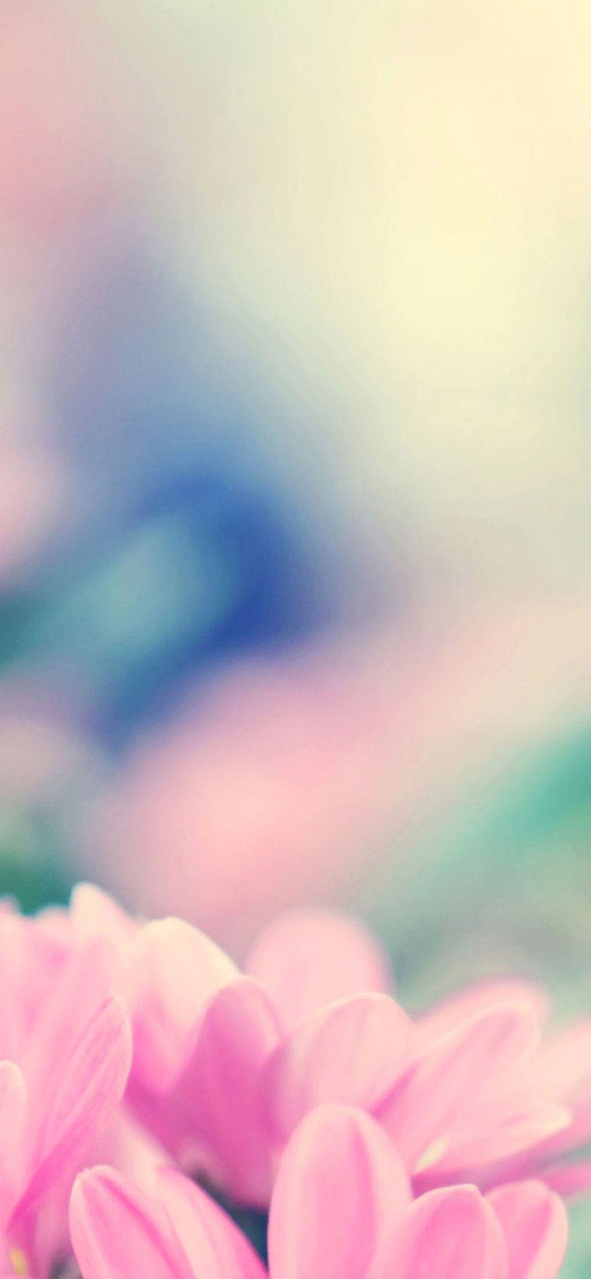 828x1792 iPhone XR wallpaper [Download Free]