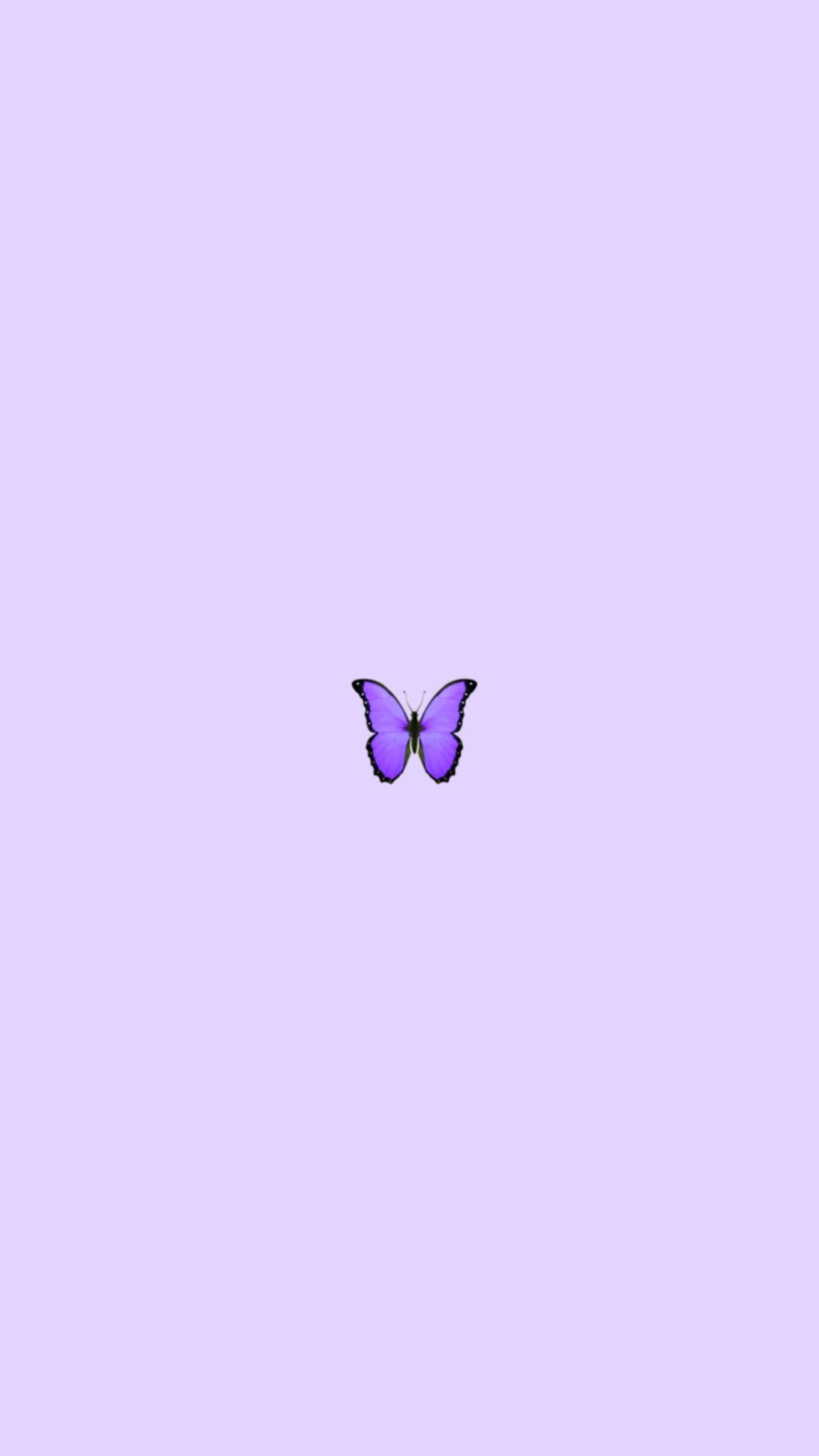 1080x1920 Download Aesthetic Purple Butterfly Phone Background Wallpaper
