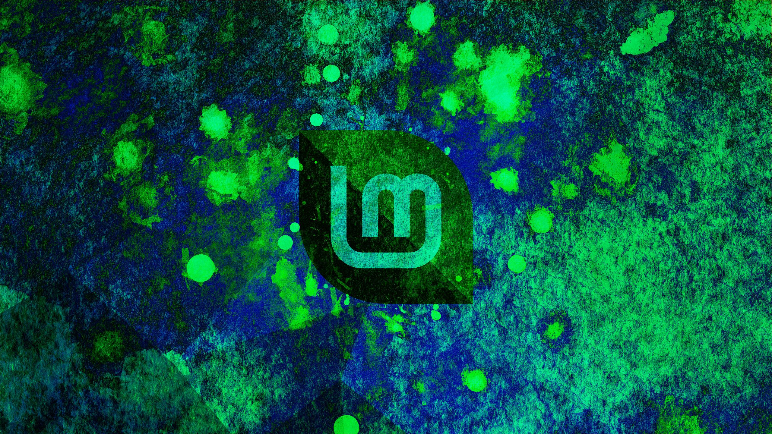 2560x1440 Download Technology Linux Mint HD Wallpaper