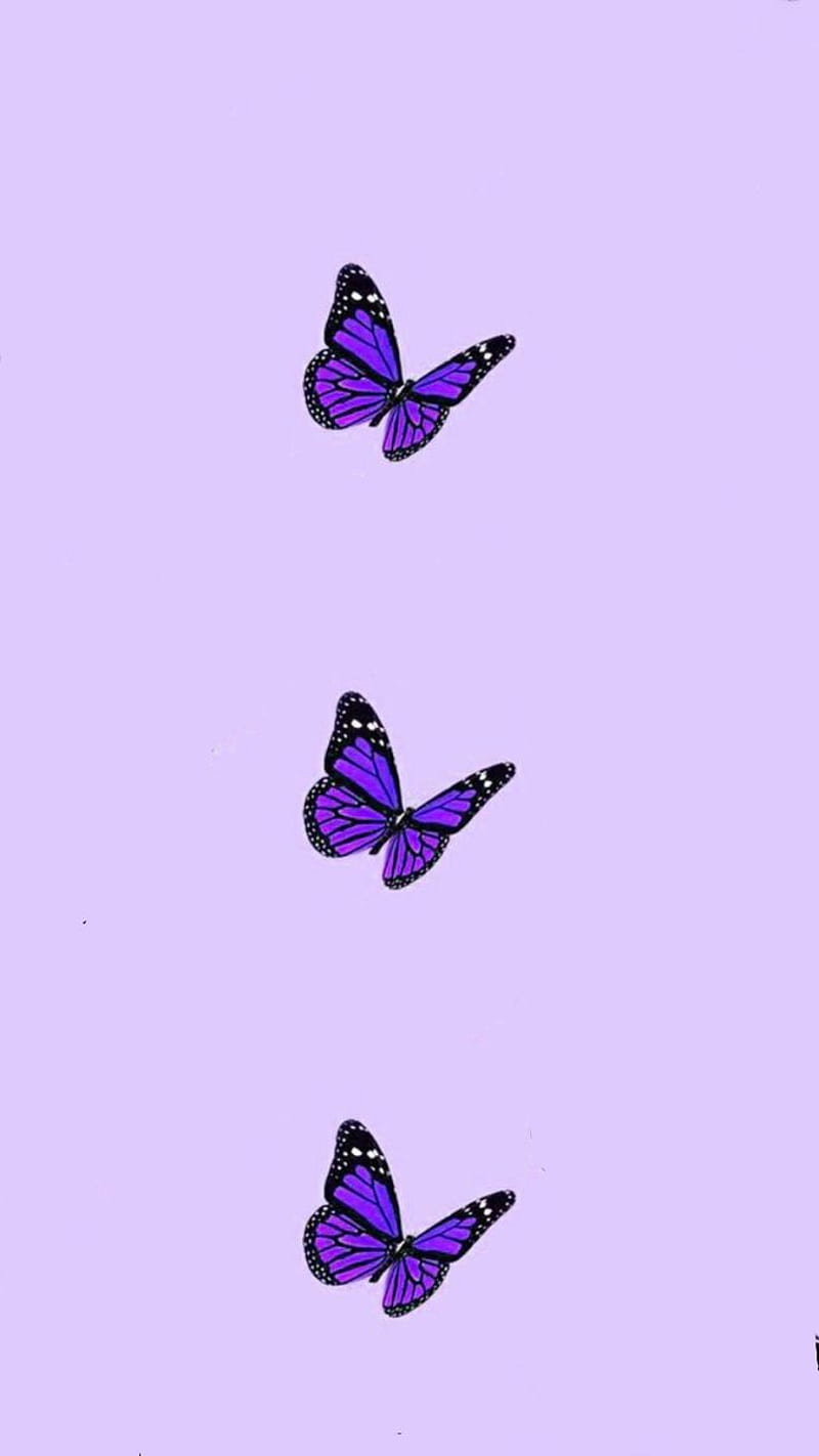 800x1422 Purple. Purple butterfly, Butterfly background, Purple phone, Small Butterflies, HD phone wallpaper