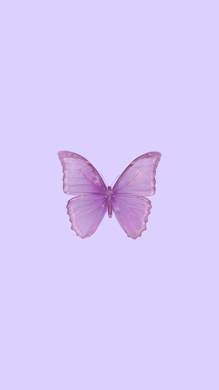 736x1309 Butterfly