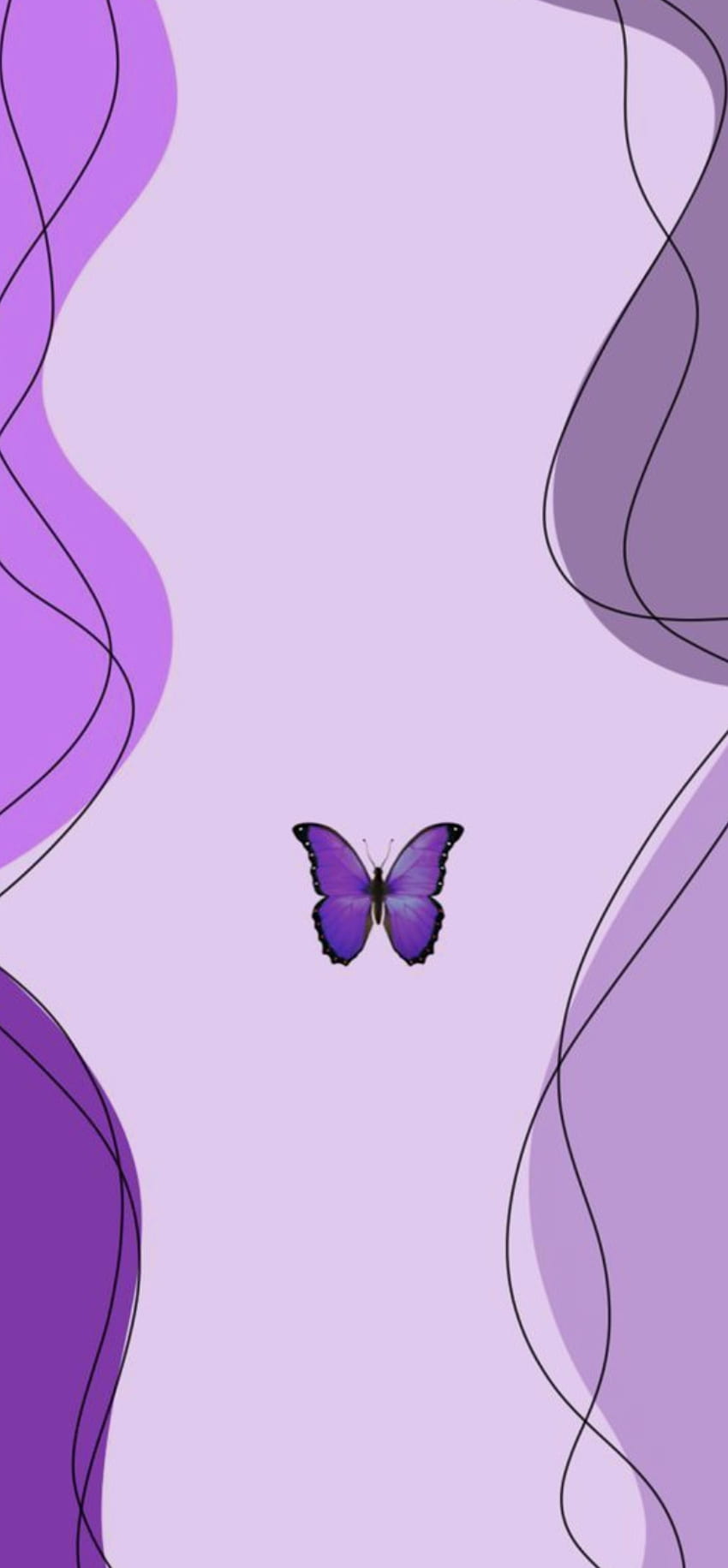 850x1831 Purple Butterfly, aesthetic HD phone wallpaper