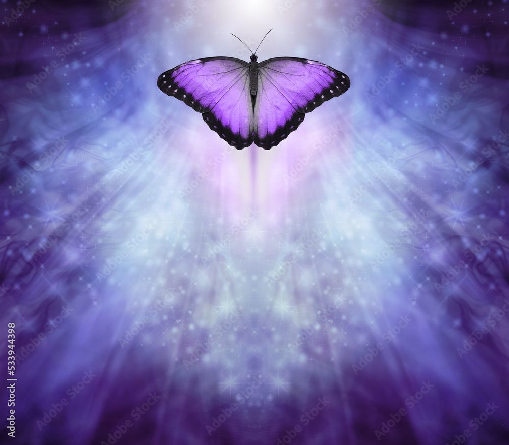 1000x875 Photo Stock Butterfly Message Board Template Background purple sparkle symmetrical radiating background with a lilac open butterfly flying up into white light with copy space below ideal for spiritual mess