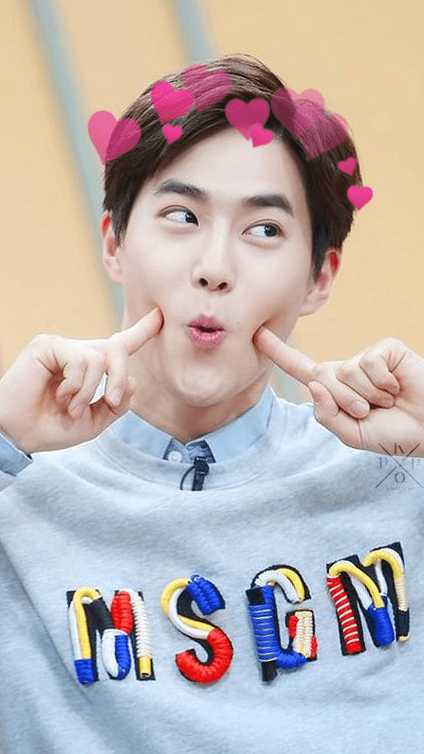 850x1511 Kpop, suho HD phone wallpaper