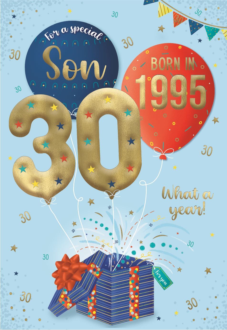 952x1383 Son 30th birthday card- Born in 1995