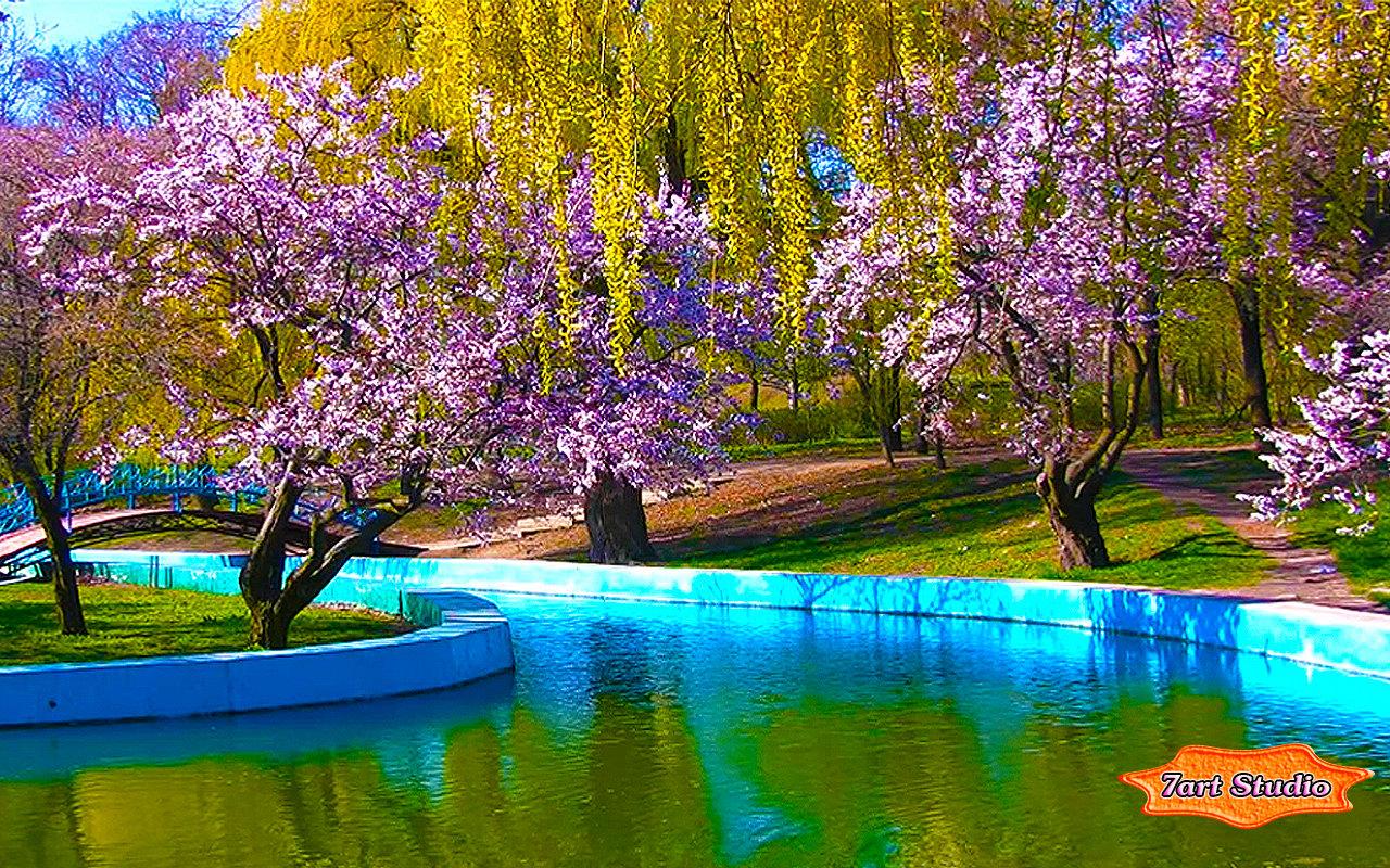 1280x800 Spring Wallpaper And HD #PU1FNK9 1280x800 px