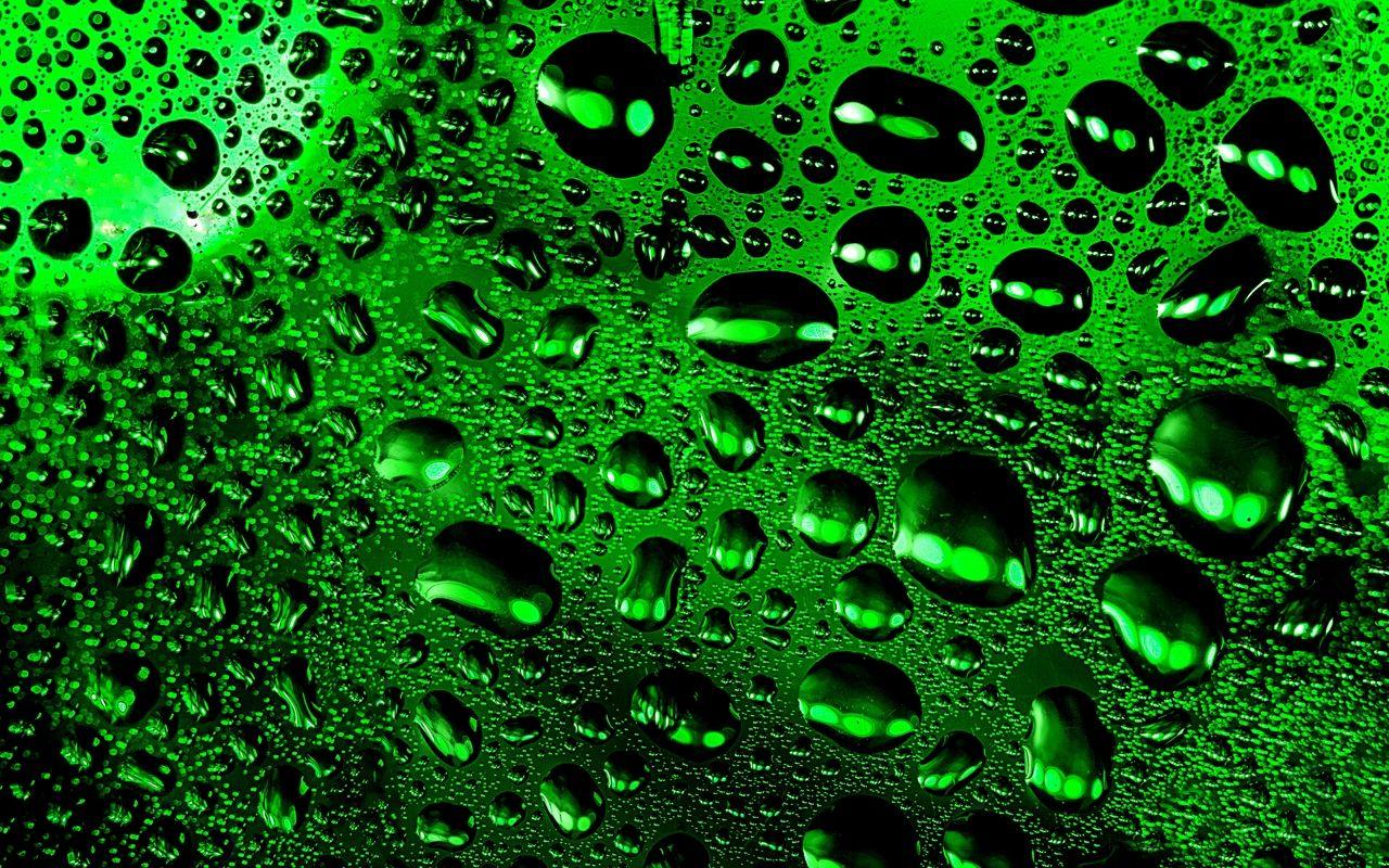 1280x800 Download wallpaper 1280x800 drops, macro, wet, surface, green