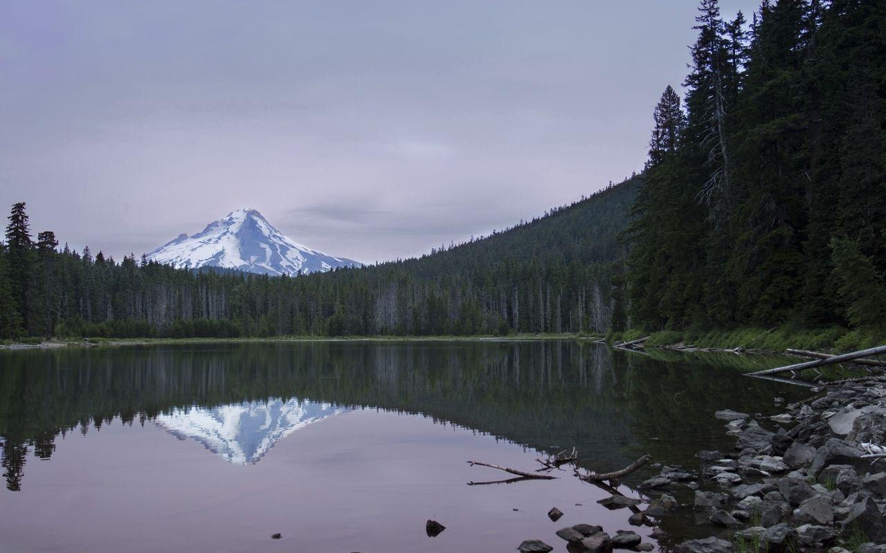 1280x800 Download wallpaper 1280x800 lake, forest, mountain, peak