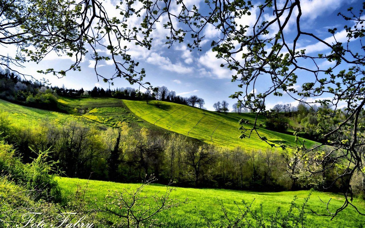 1280x800 Download wallpaper 1280x800 spring, fields, trees, greenery