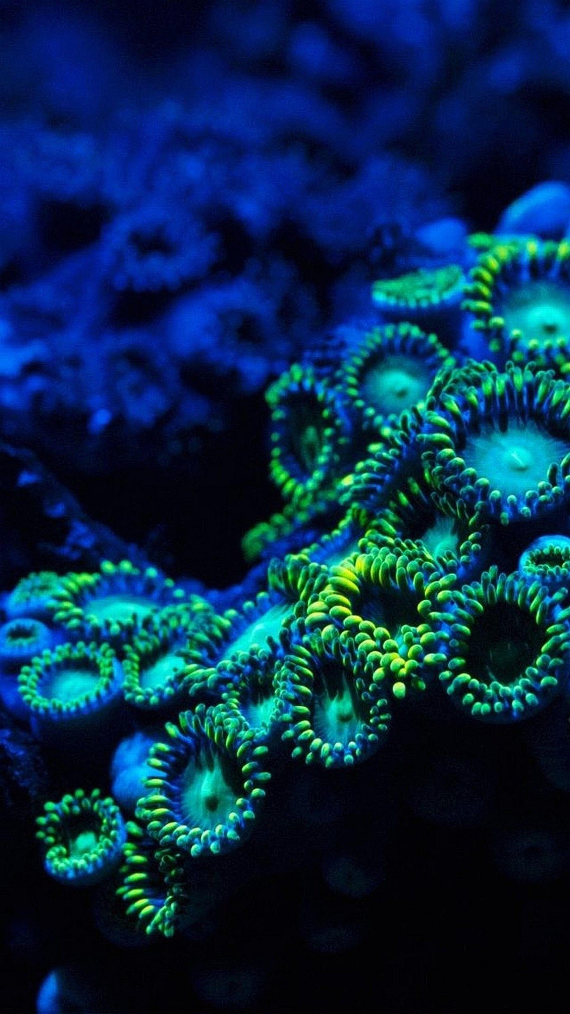 2160x3840 Samsung A20 Wallpaper