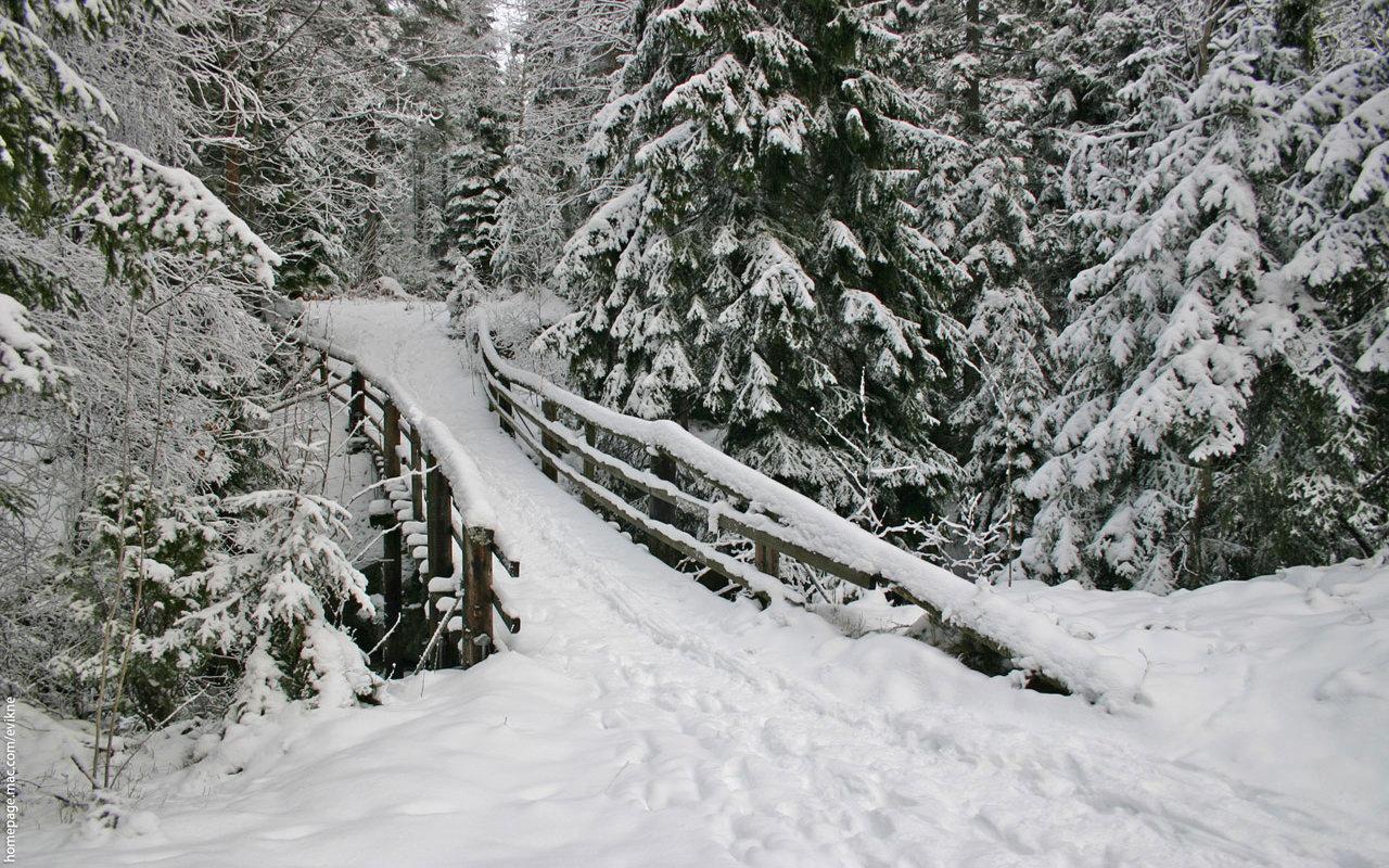 1280x800 Winter wallpaper 1280x800 desktop background