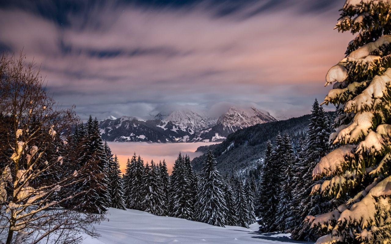 1280x800 Download wallpaper 1280x800 winter, mountains, snow, trees
