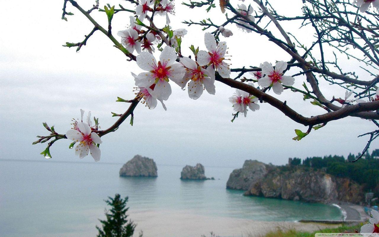 1280x800 Free Spring Season Wallpaper Desktop Background at Landscape