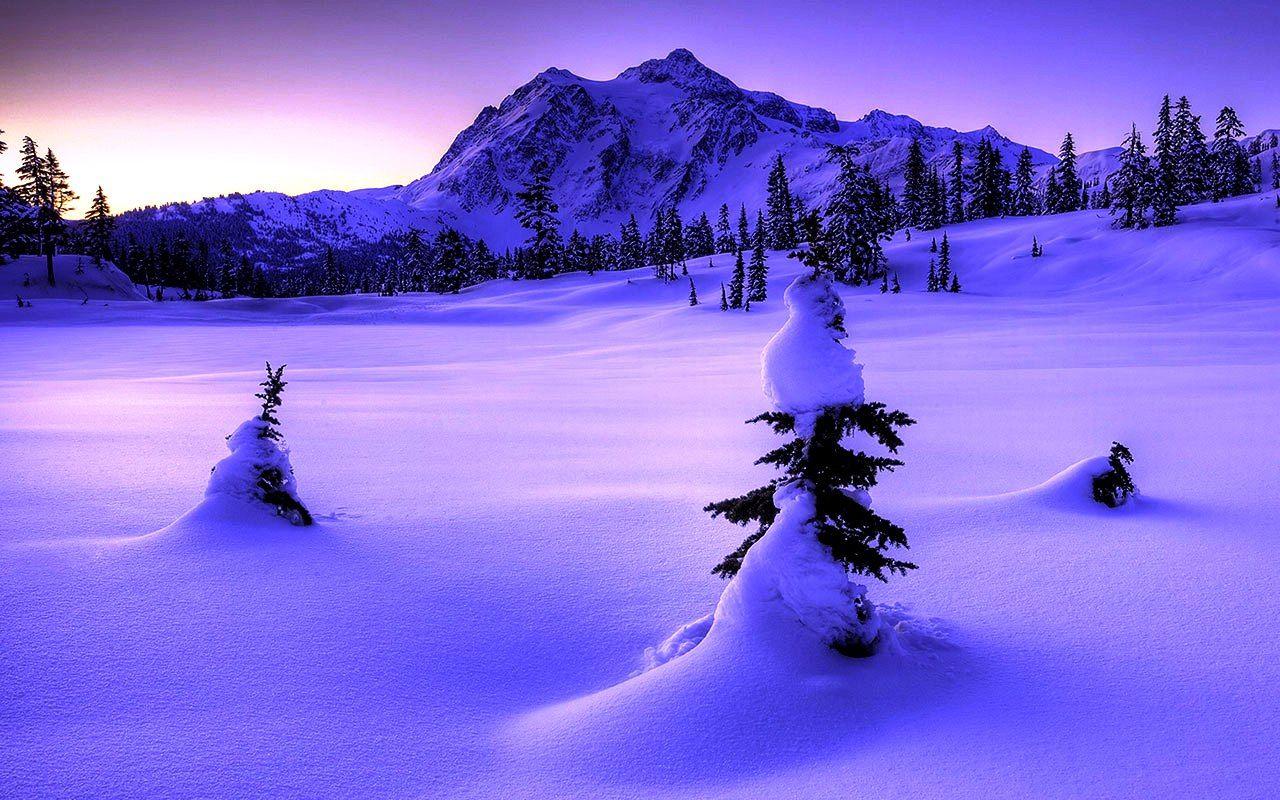 1280x800 Free download Winter Nature Wallpaper High Resolution Wallpaper