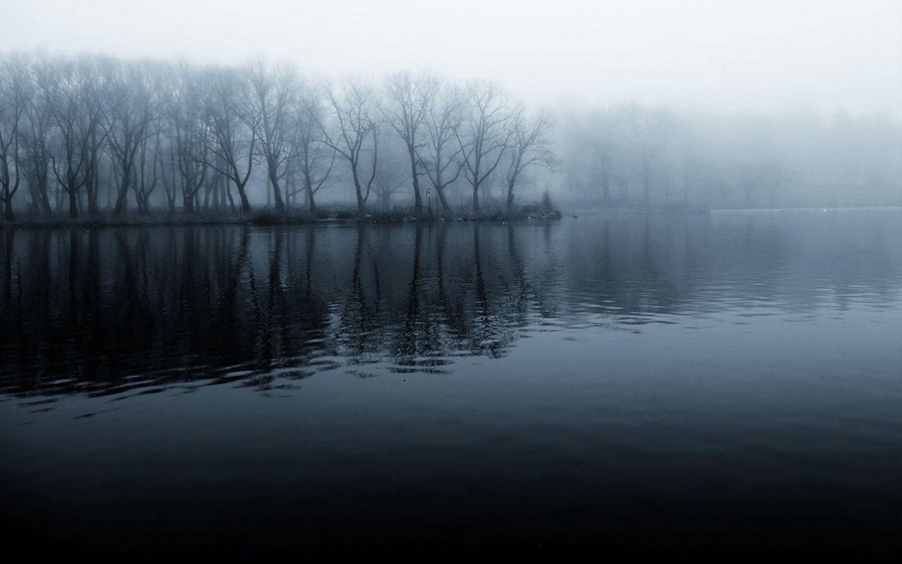 1280x800 Foggy Lake And Forest Wallpaperx800