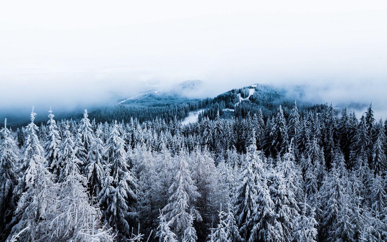 1280x800 Download wallpaper 1280x800 winter, trees, fog, snow, aerial view