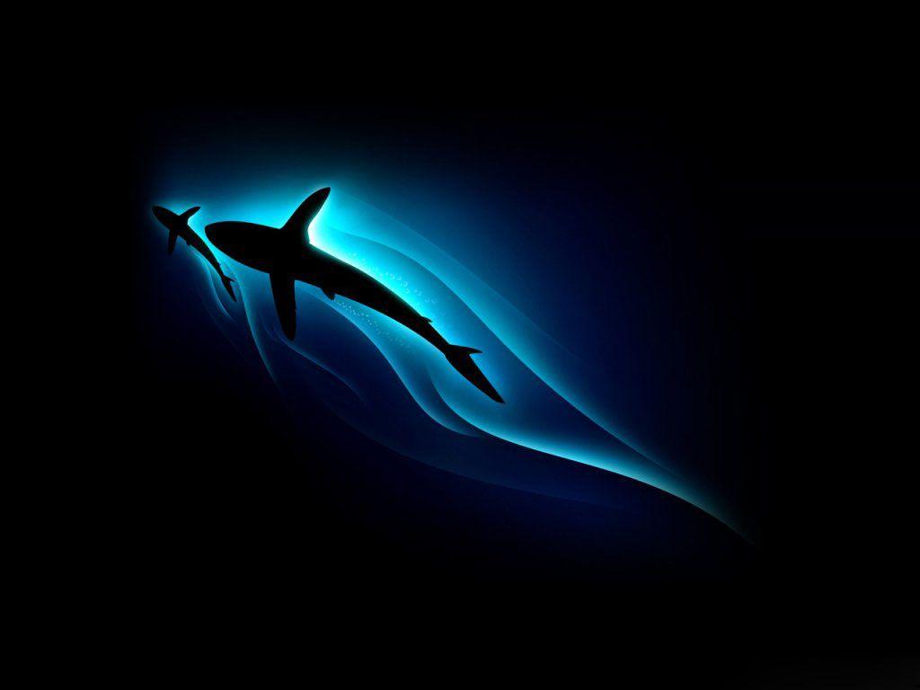 1024x768 Wallpaper 3D Abstract Aura