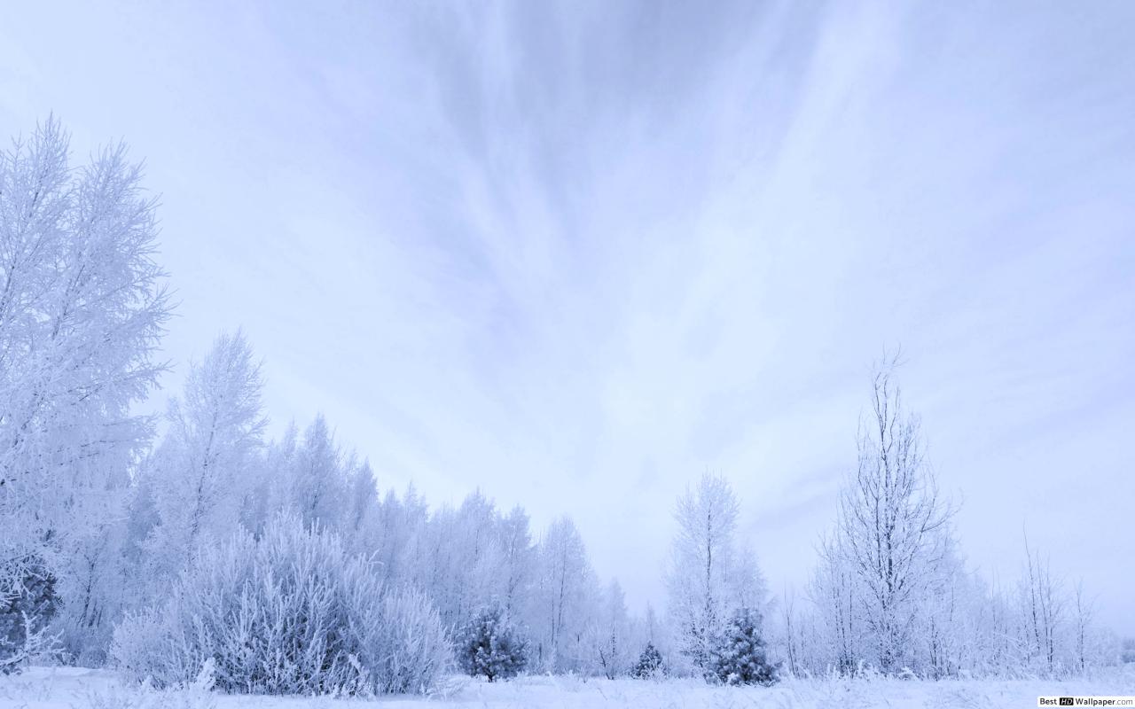 1280x800 A very white winter HD wallpaper download