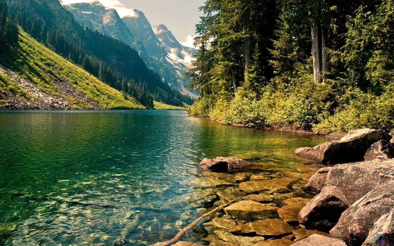 1280x800 Free download crystal forest lake Wallpaper Background 23478