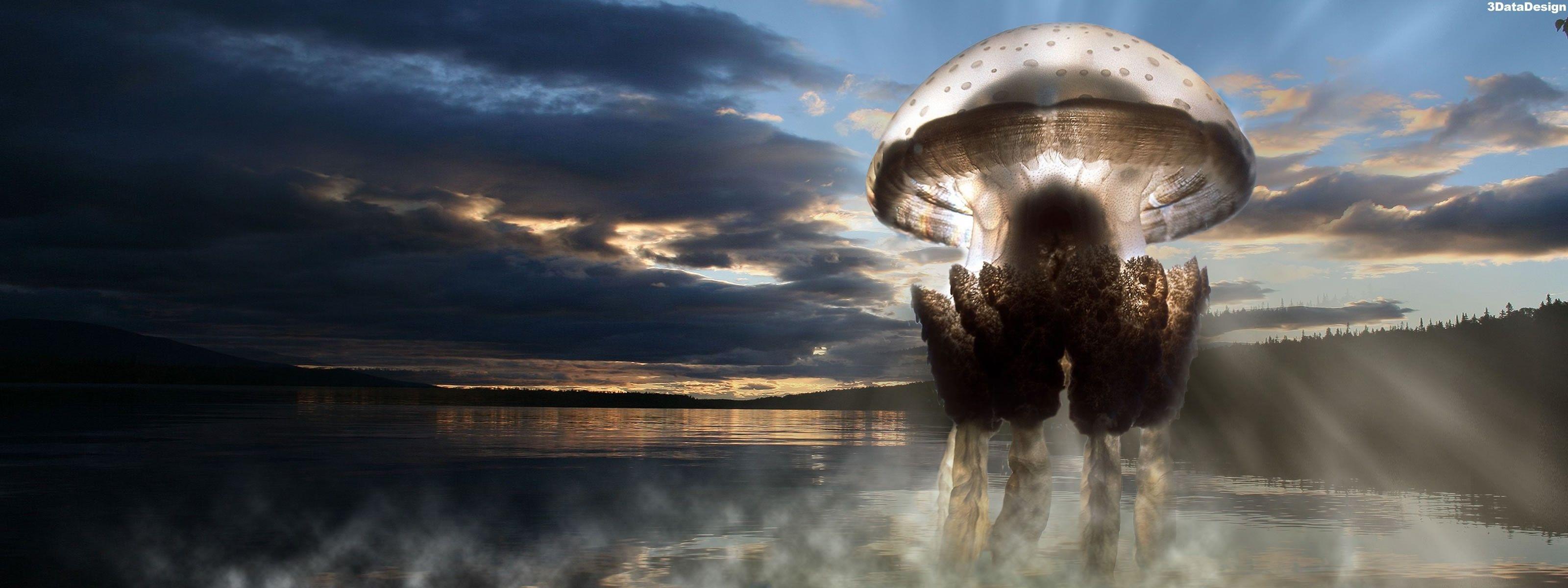 3200x1200 jellyfish 3200x1200 wallpaper High Quality Wallpaper, High