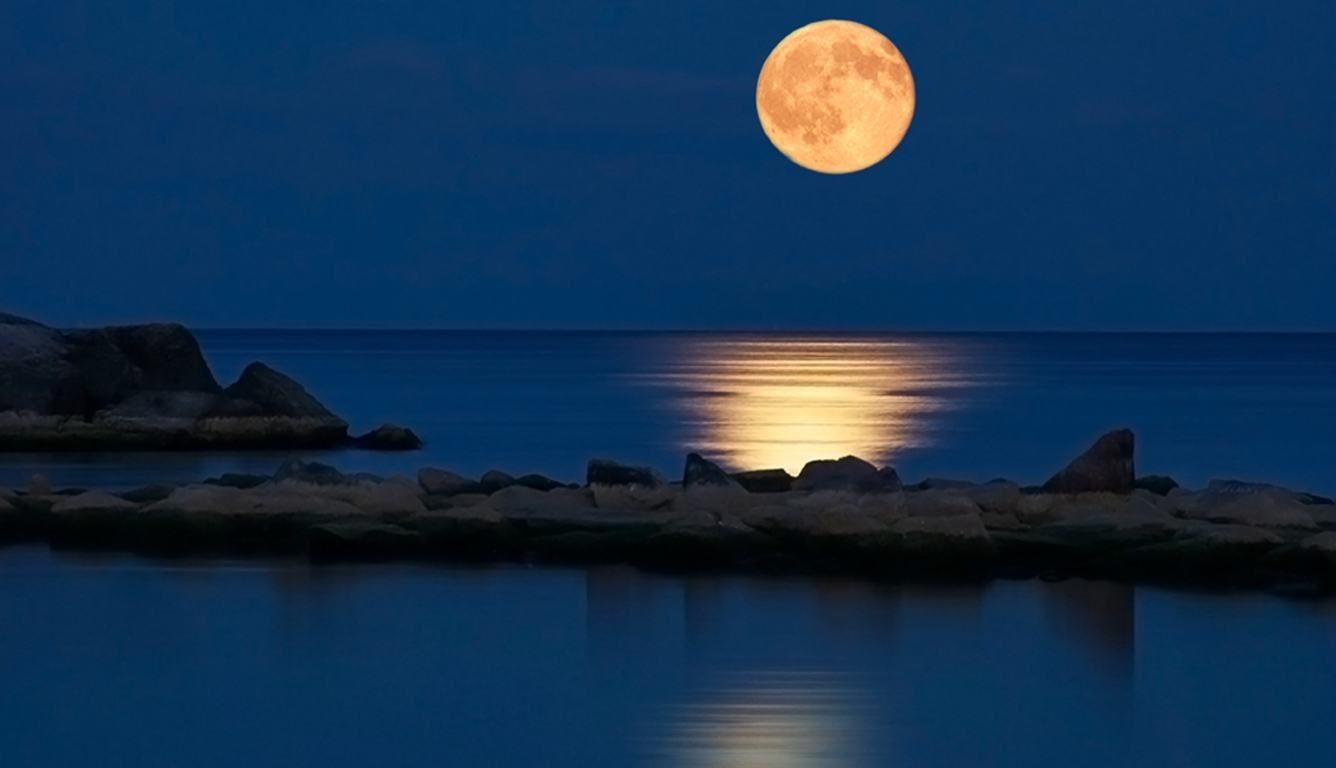 1336x768 Free download Download Wallpaper Background nature wallpaper