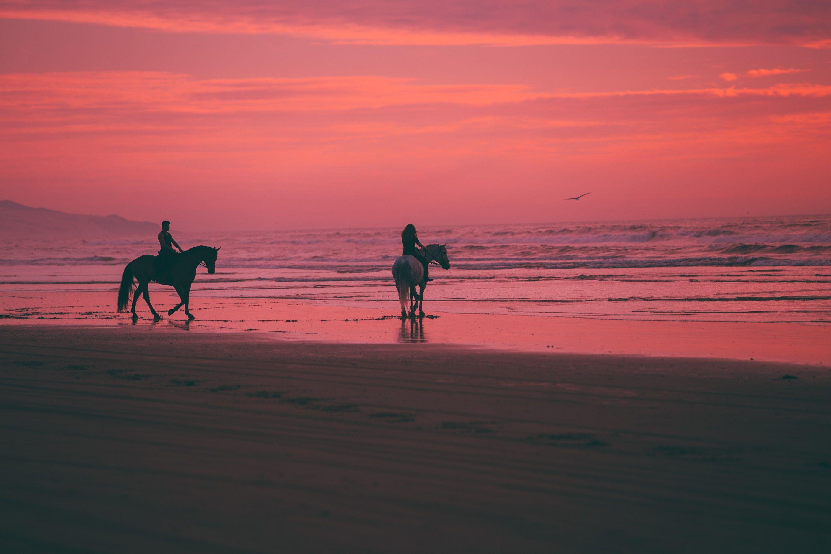2736x1824 2736x1824 #western, #beach, #water, #riding, #horseback