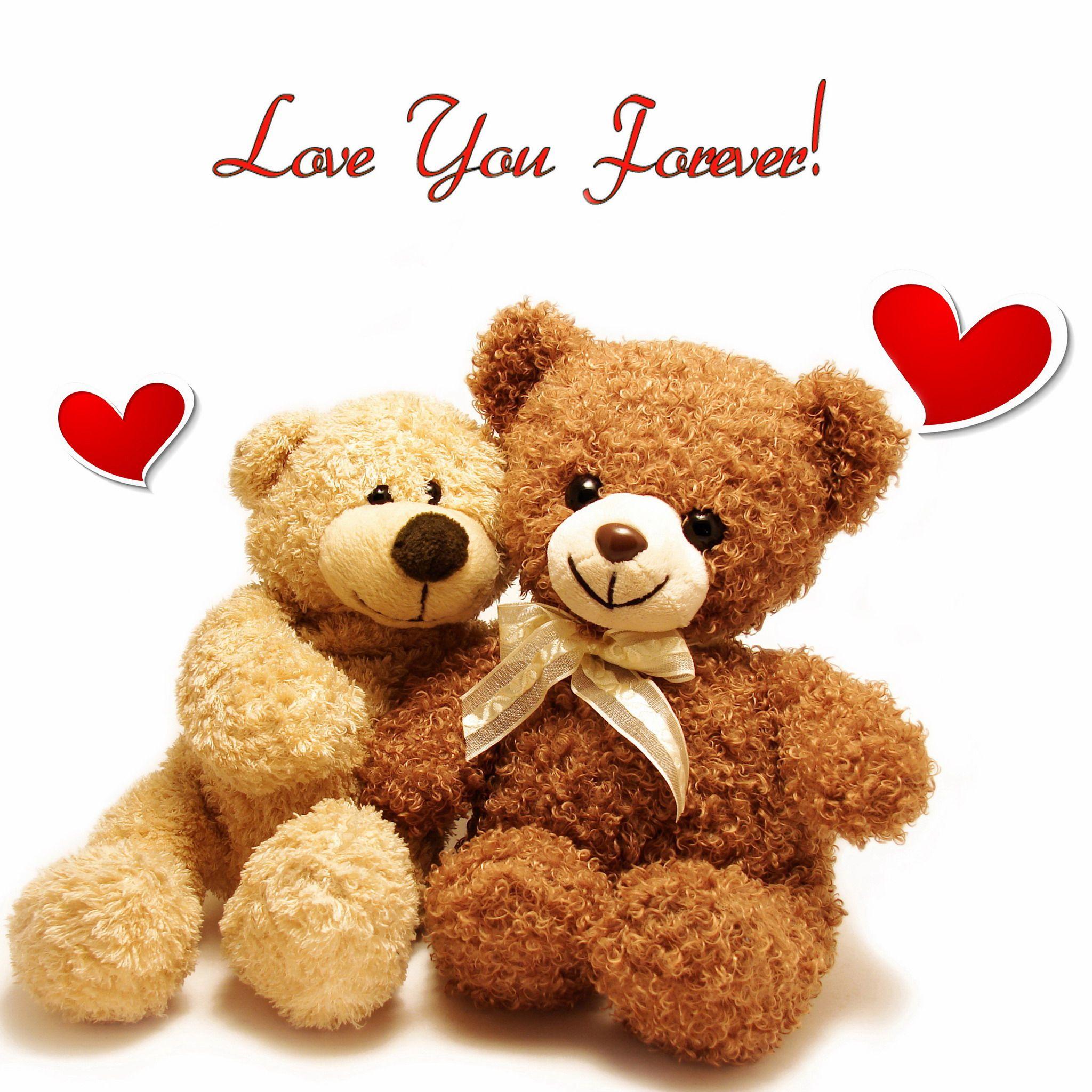 2048x2048 Hd Wallpaper You Forever Teddy Bear, Download Wallpaper