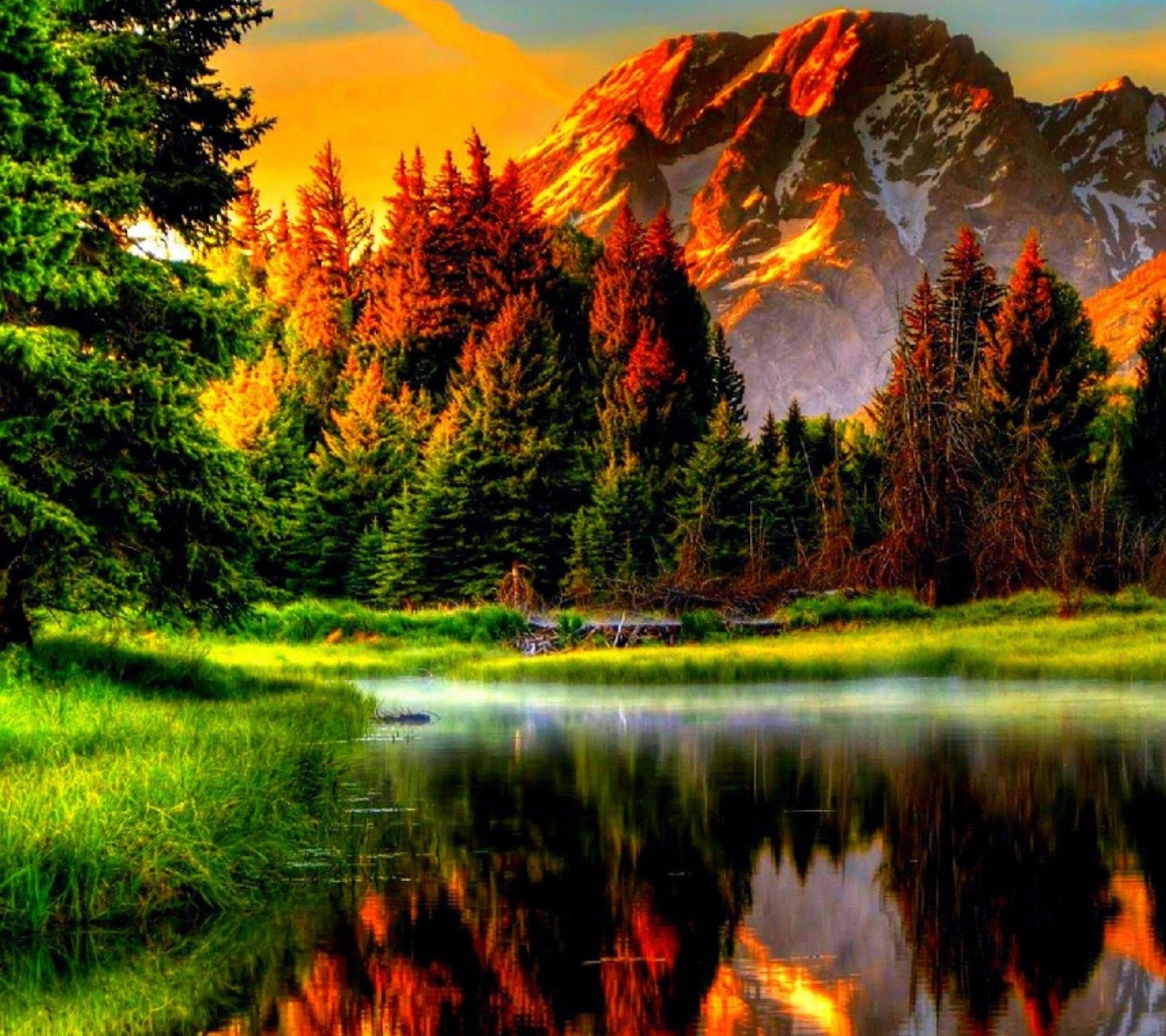 My Image 2