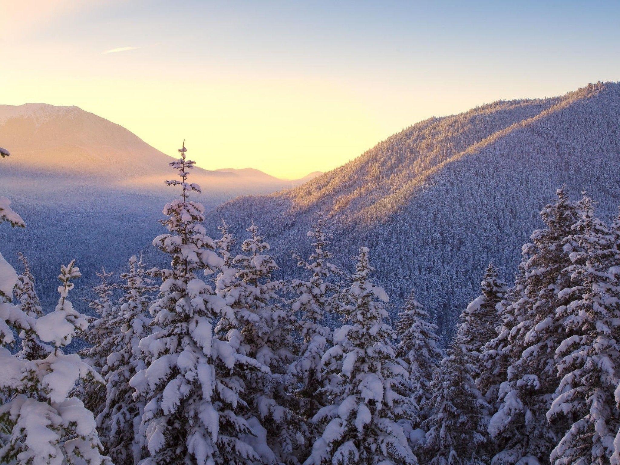 2048x1536 Download 2048x1536 Mountain, Snow, Trees, Winter Wallpaper