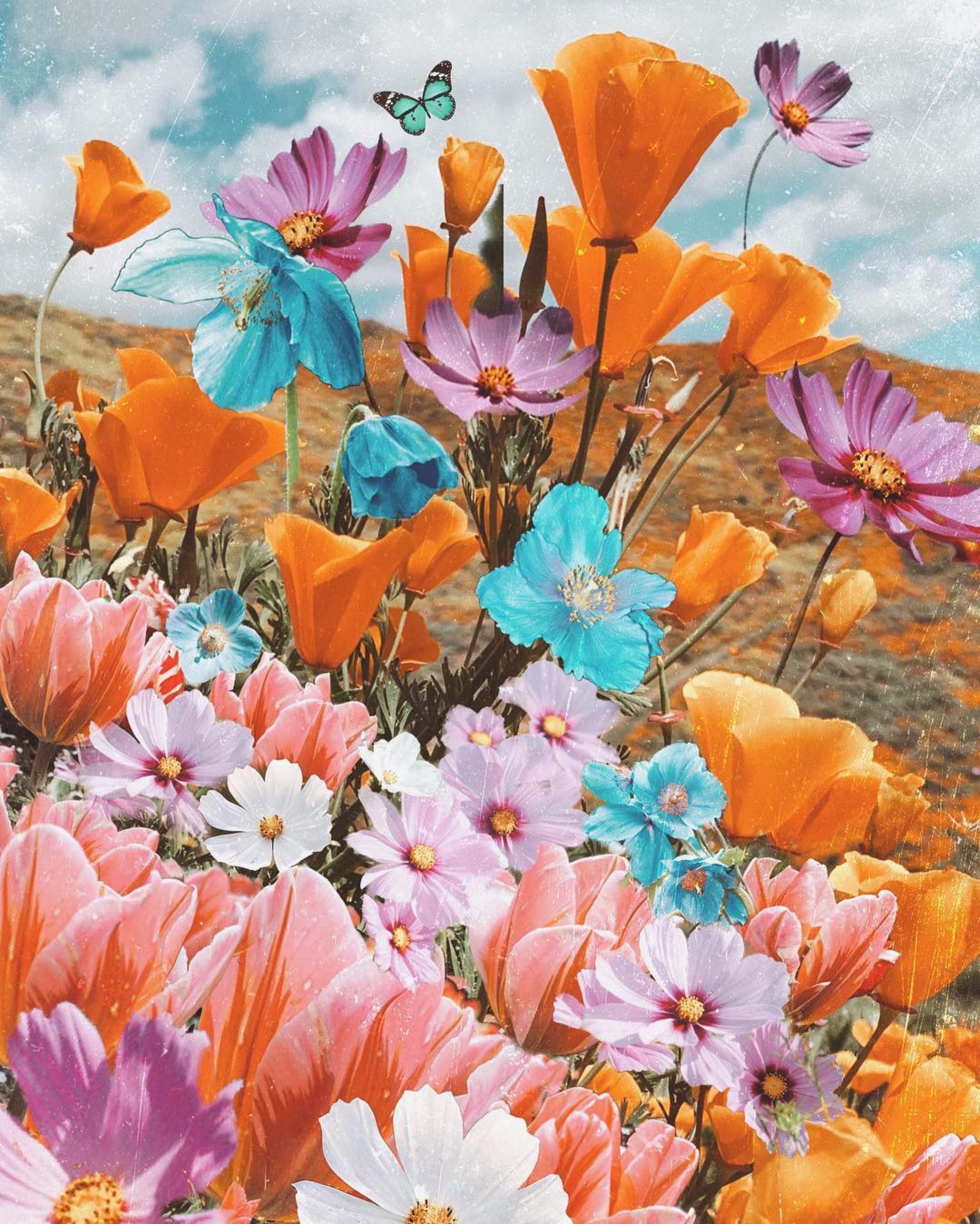 3240x4047 Flowers. Flower phone wallpaper .