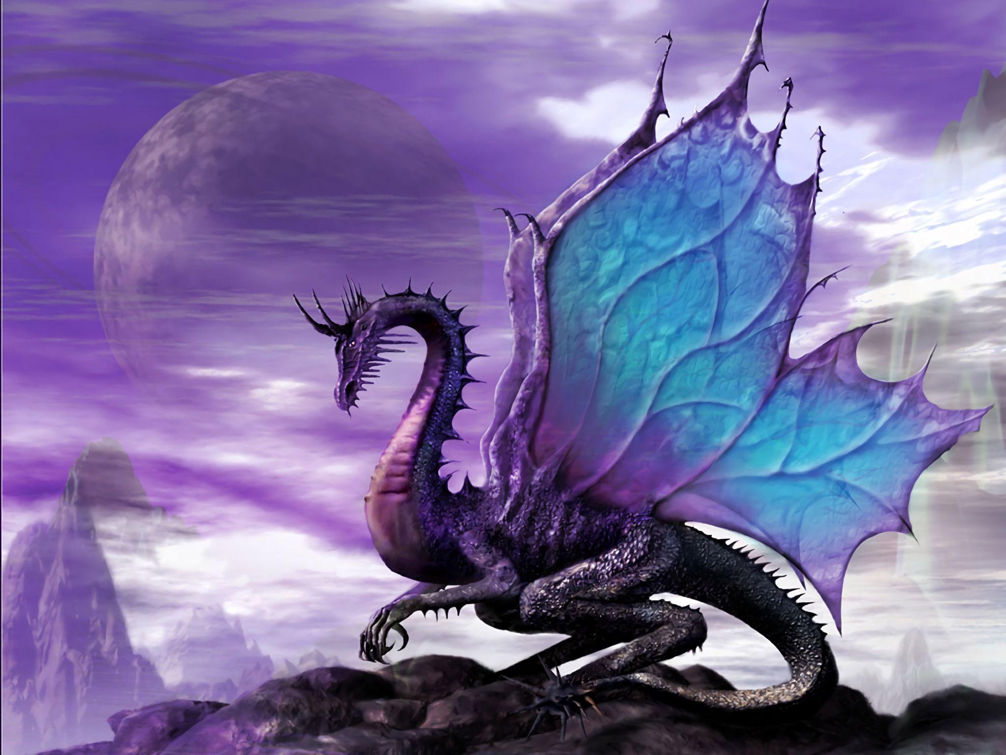 2048x1536 Beautiful Dragon Wallpaper