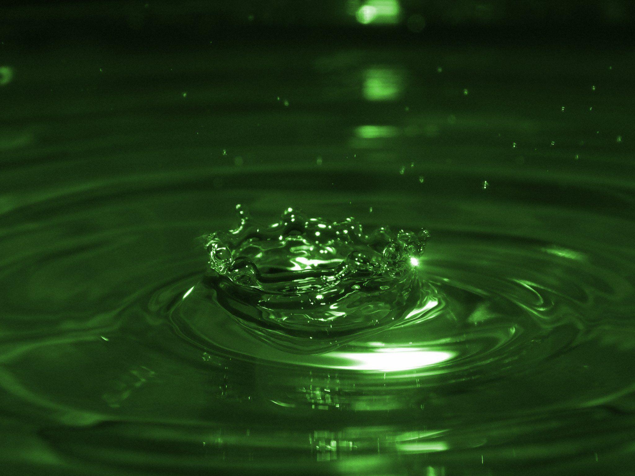 2048x1536 Water drop macro nature macro zoom flowers gouttes pluie wallpaper
