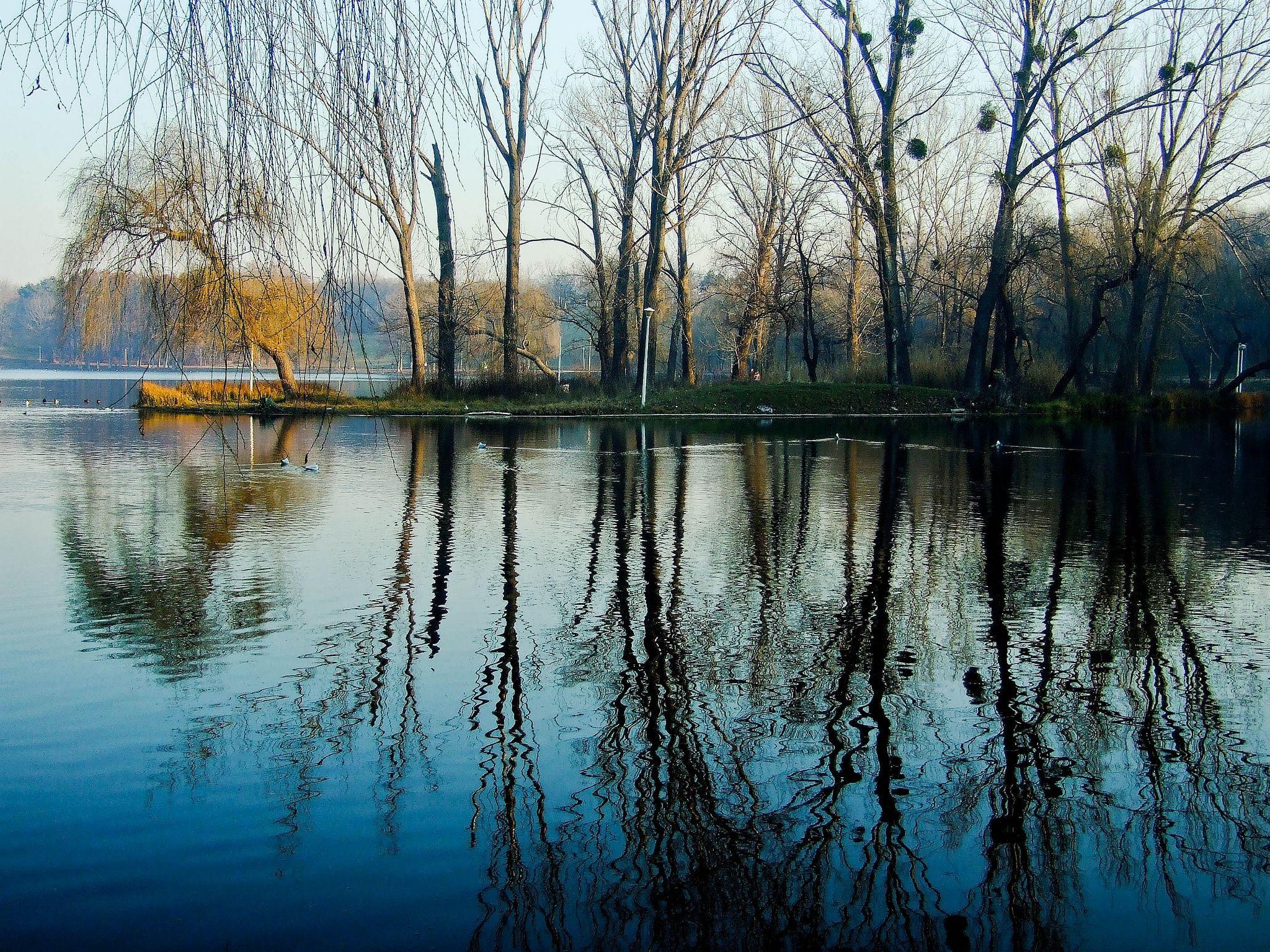 2048x1536 Download wallpaper 2048x1536 spring, park, trees, water, lake HD