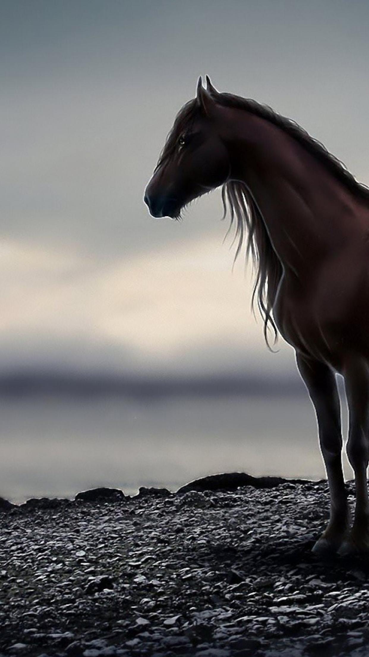 Horse ipad air ipad air 2 ipad 3 ipad 4 ipad mini 2 ipad mini 3 ipad  mini 4 ipad pro 97 for parallax wallpapers hd desktop backgrounds  2780x2780 images and pictures