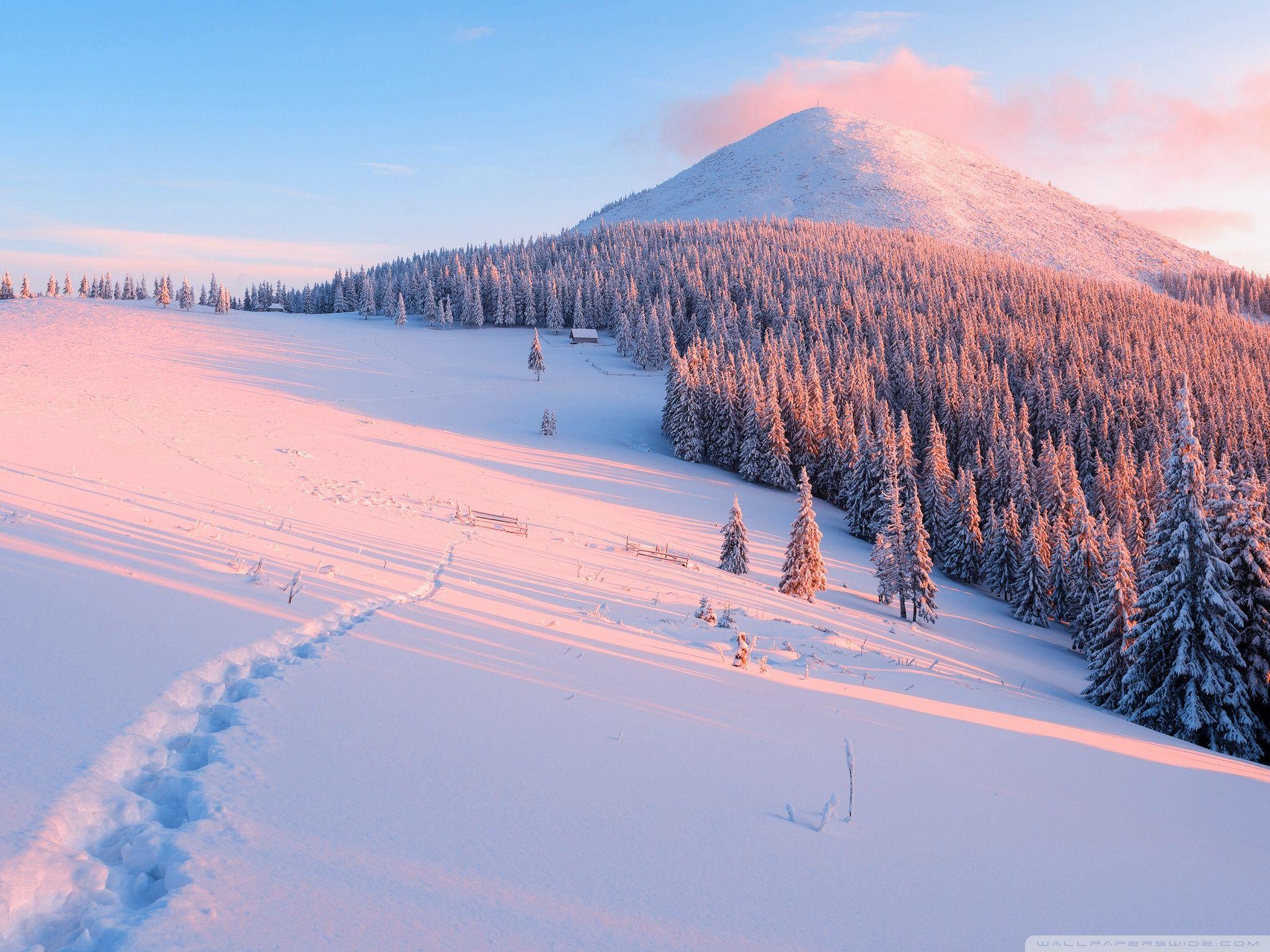 2048x1536 Winter, Nature Ultra HD Desktop Background Wallpaper