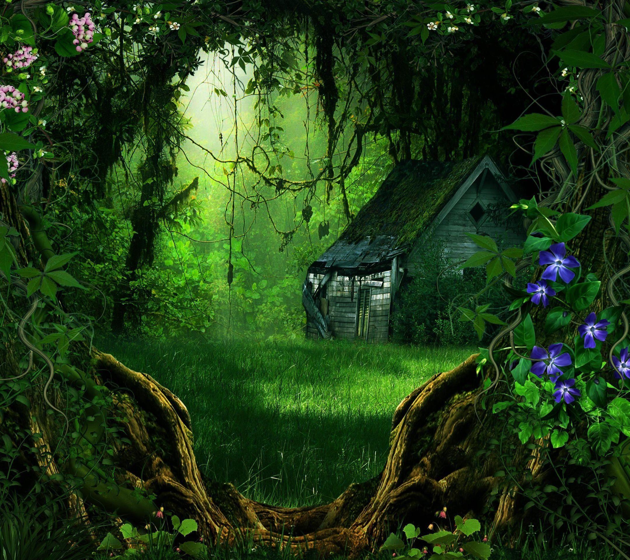 2160x1920 Background HD Wallpaper
