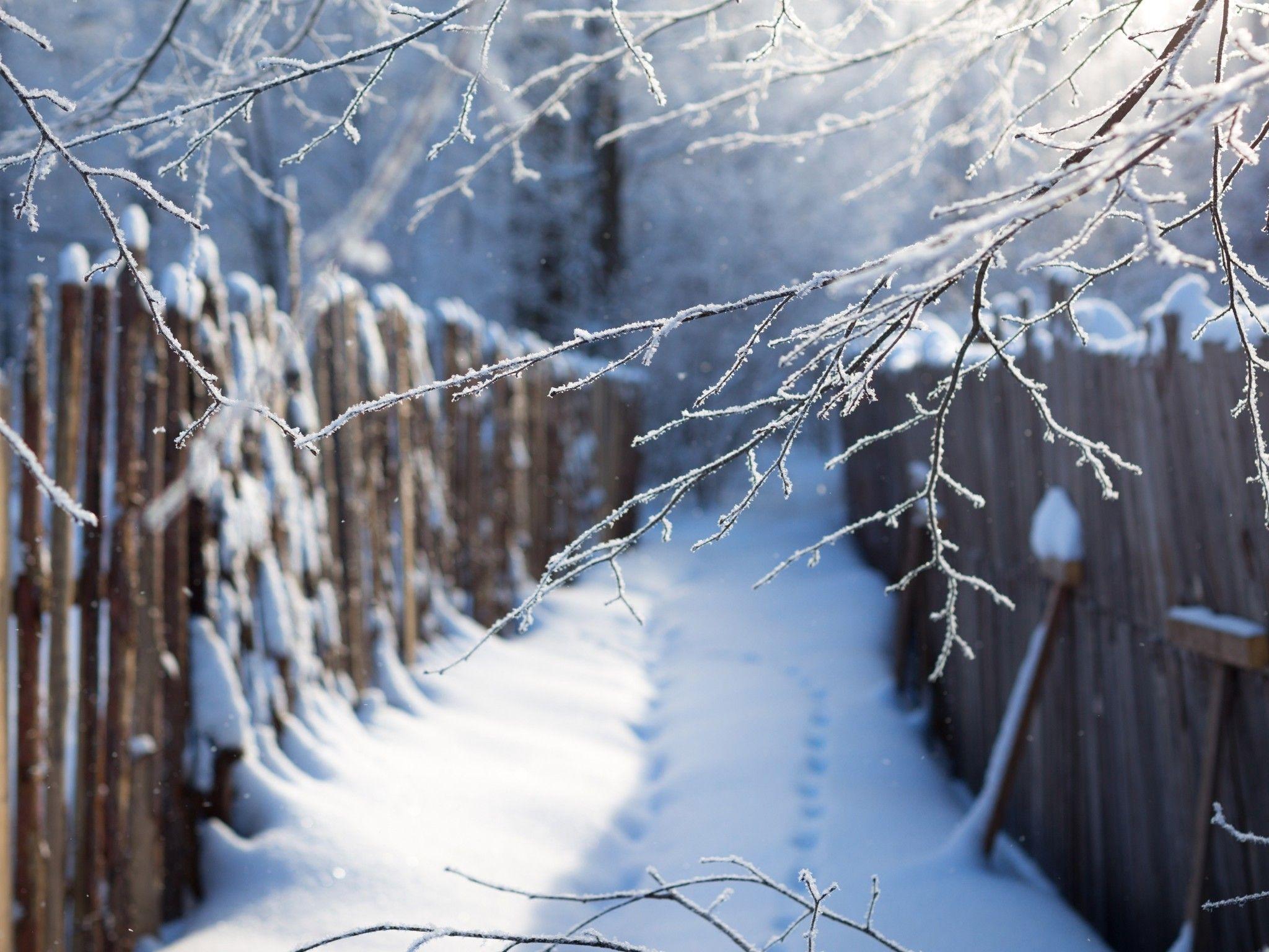 2048x1536 Download 2048x1536 Snow, Winter, Fence, Branches, Twigs