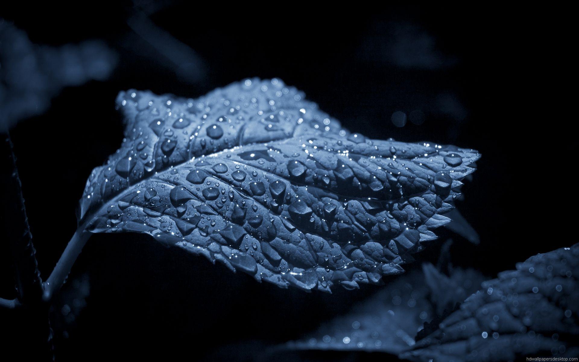 1920x1200 Wallpaper HD Group 1920x1200