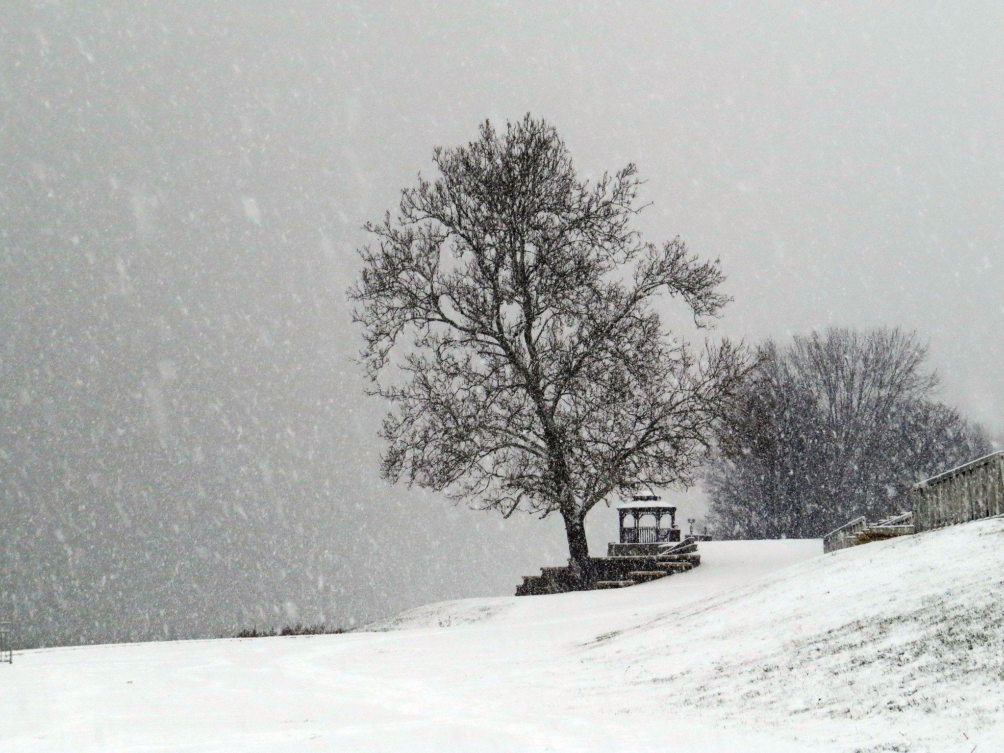 2048x1536 Nature Widescreen, Winter, Wallpaper, Frozen, Amazing, Neige