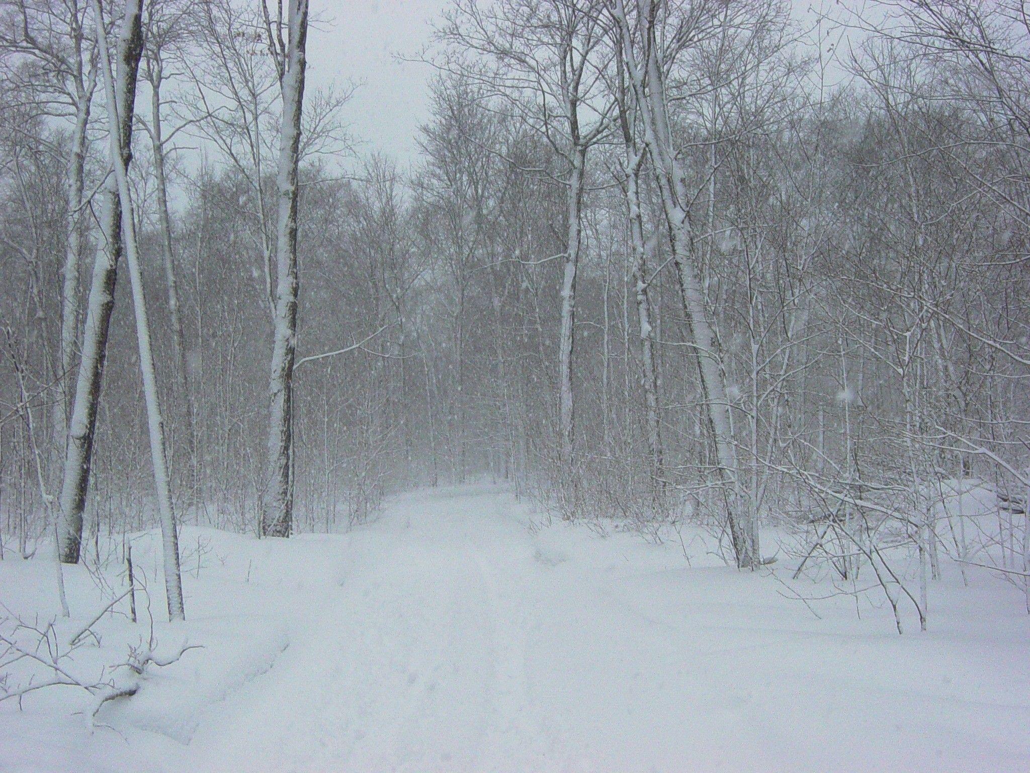 2048x1536 Snow Storm Wallpaper