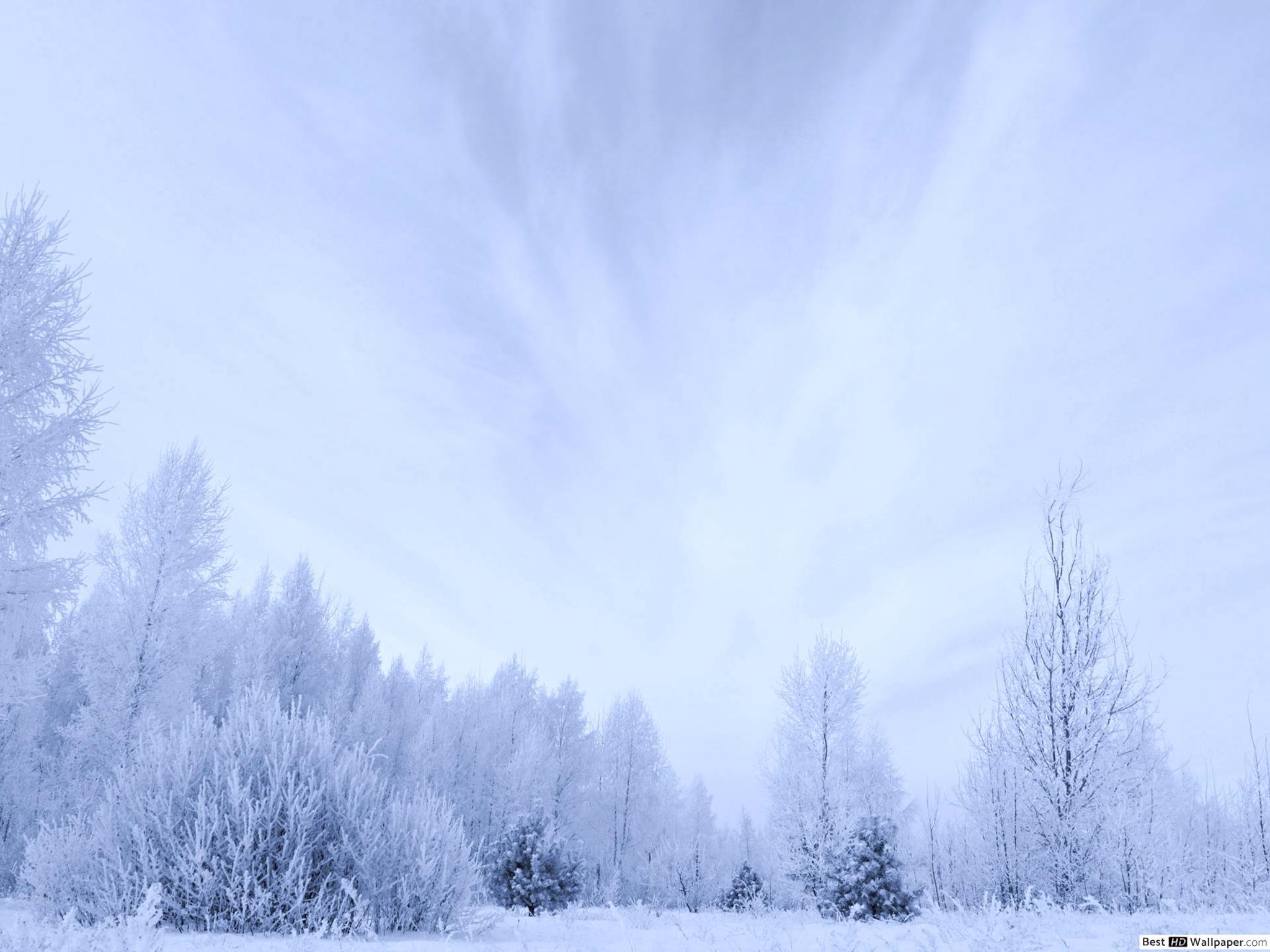 2048x1536 A very white winter HD wallpaper download
