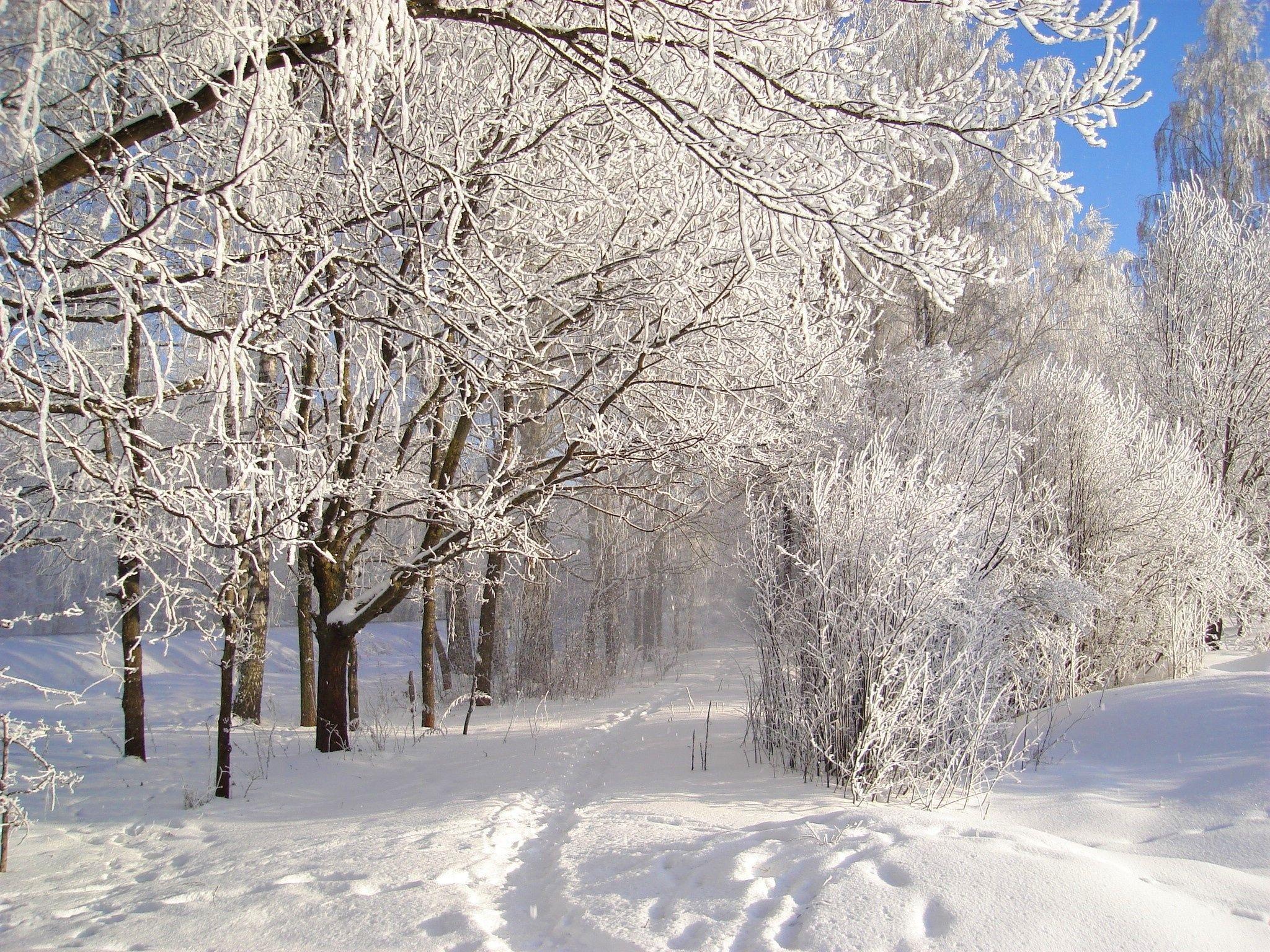 2048x1536 Winter Wallpapers - Top Free 2048x1536 Winter Backgrounds 